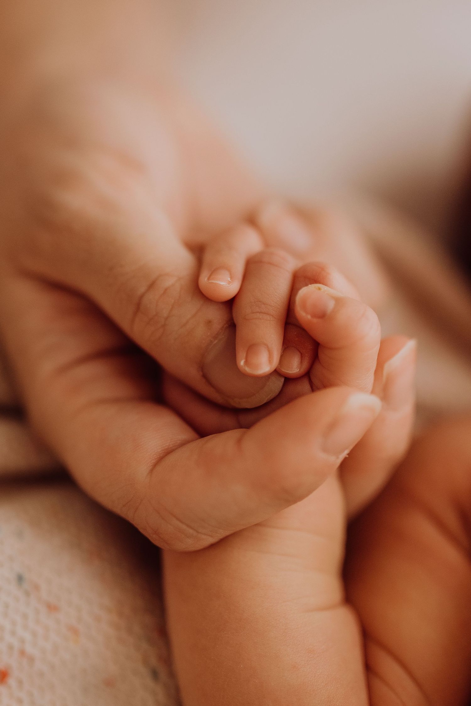 newborn photography Sydney in-home baby hands close up natural lifestyle session IVF rainbow baby