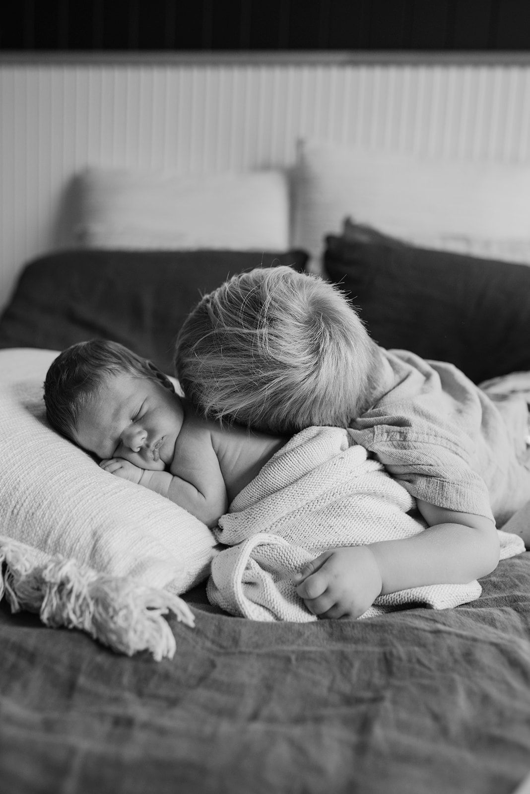 Vaucluse newborn photography of siblings cuddling baby in black and white image