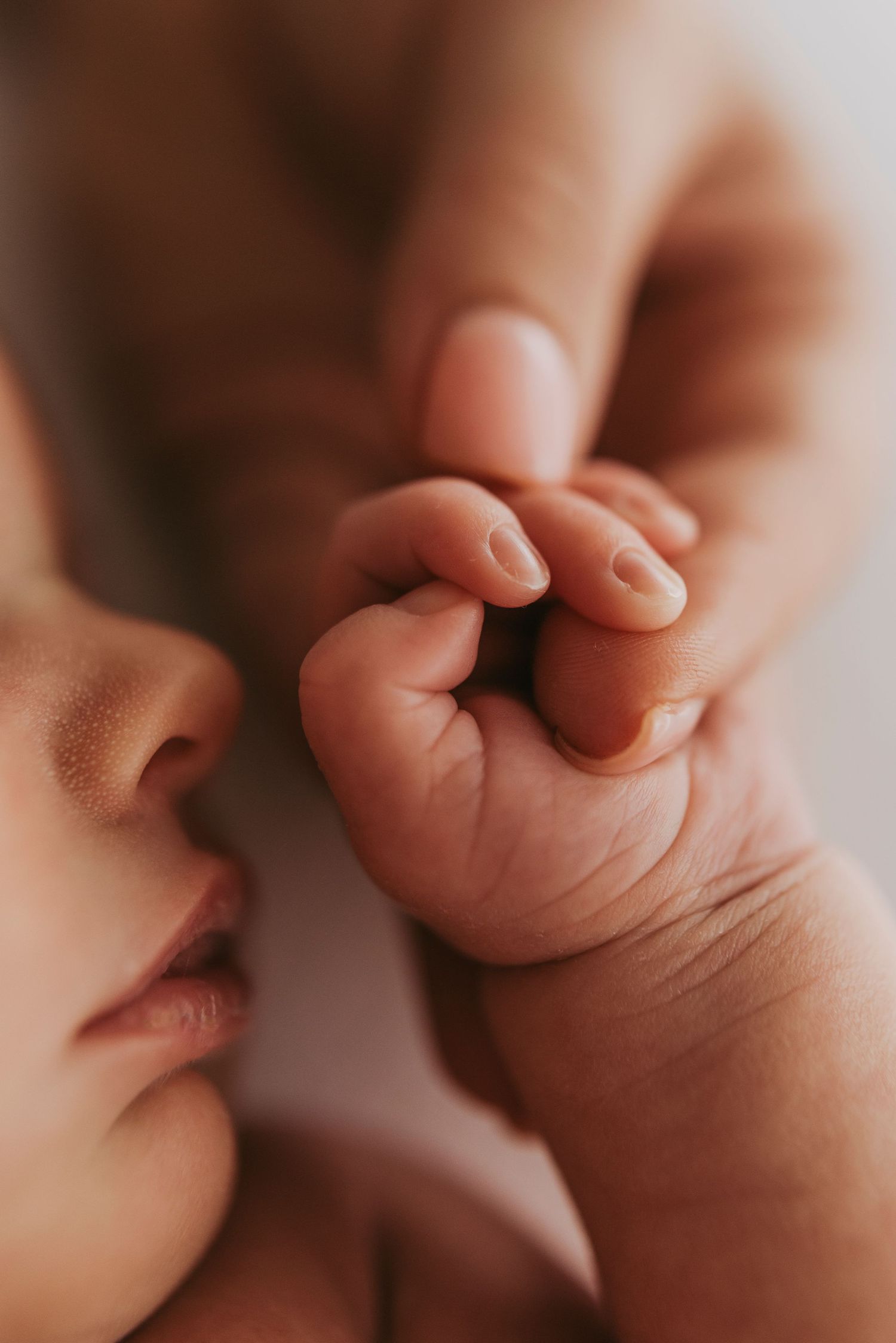close-up newborn photography Sydney of baby holding parent’s finger, soft natural detail