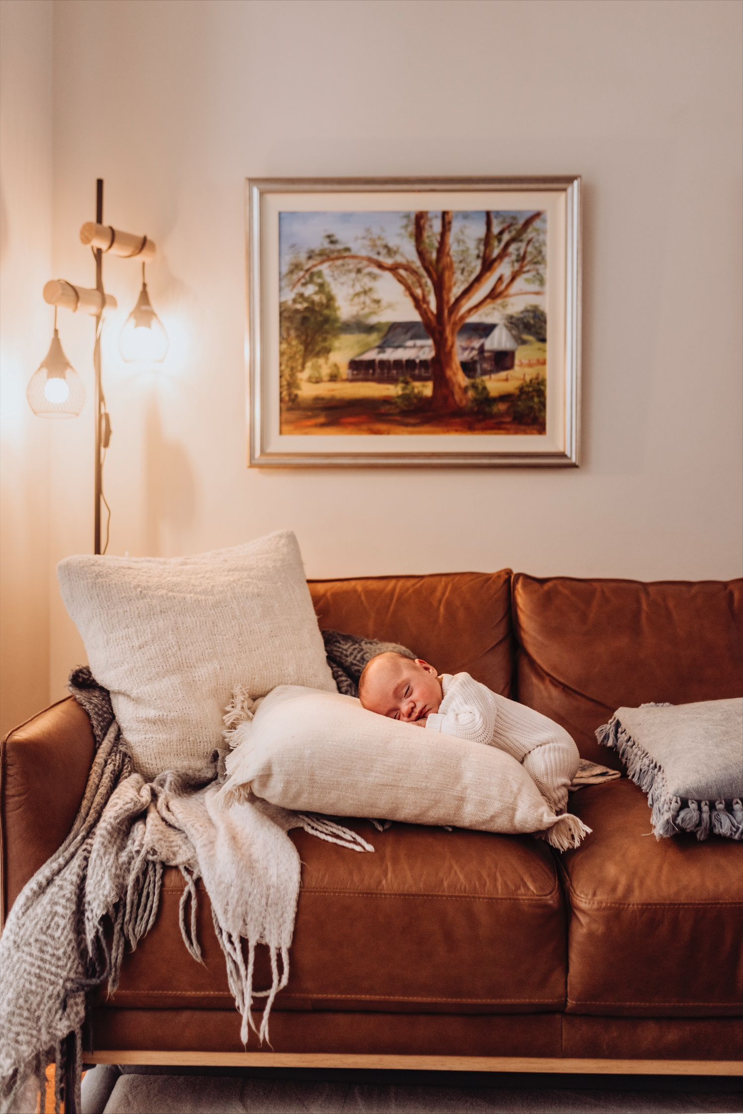 Camperdown newborn photography of baby sleeping on couch in warm in-home setting