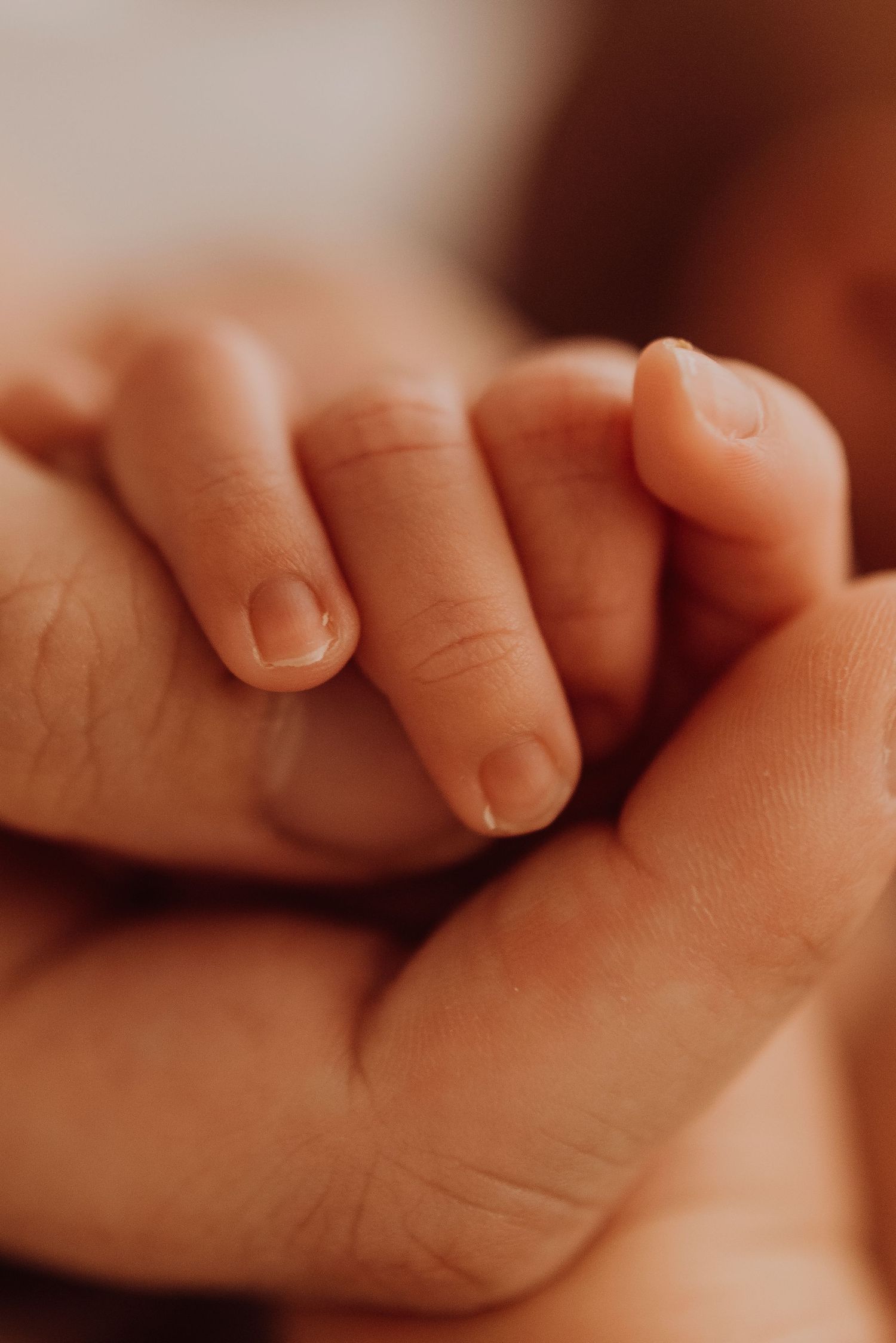 Sydney newborn photography close-up of baby holding parent finger