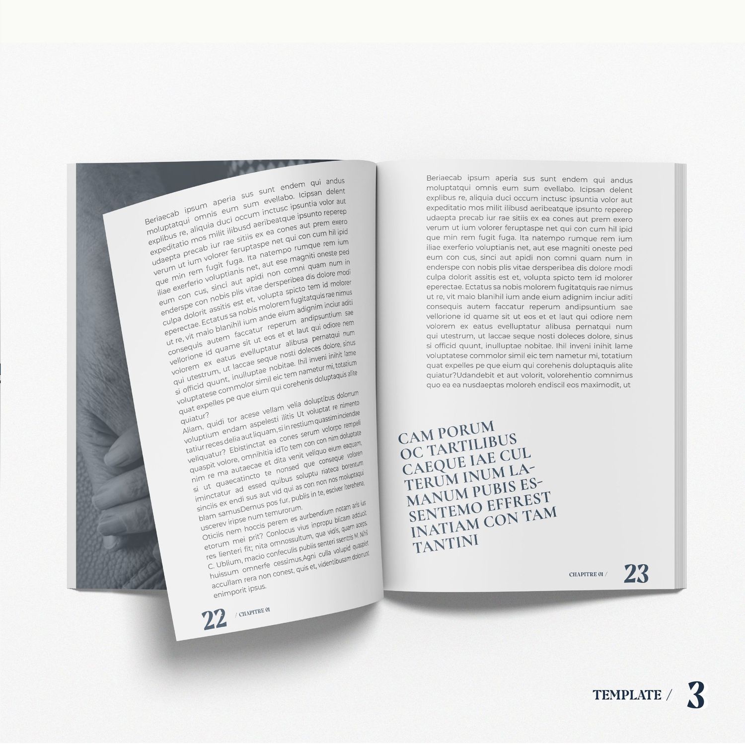 Livre
Edition
Mise en page