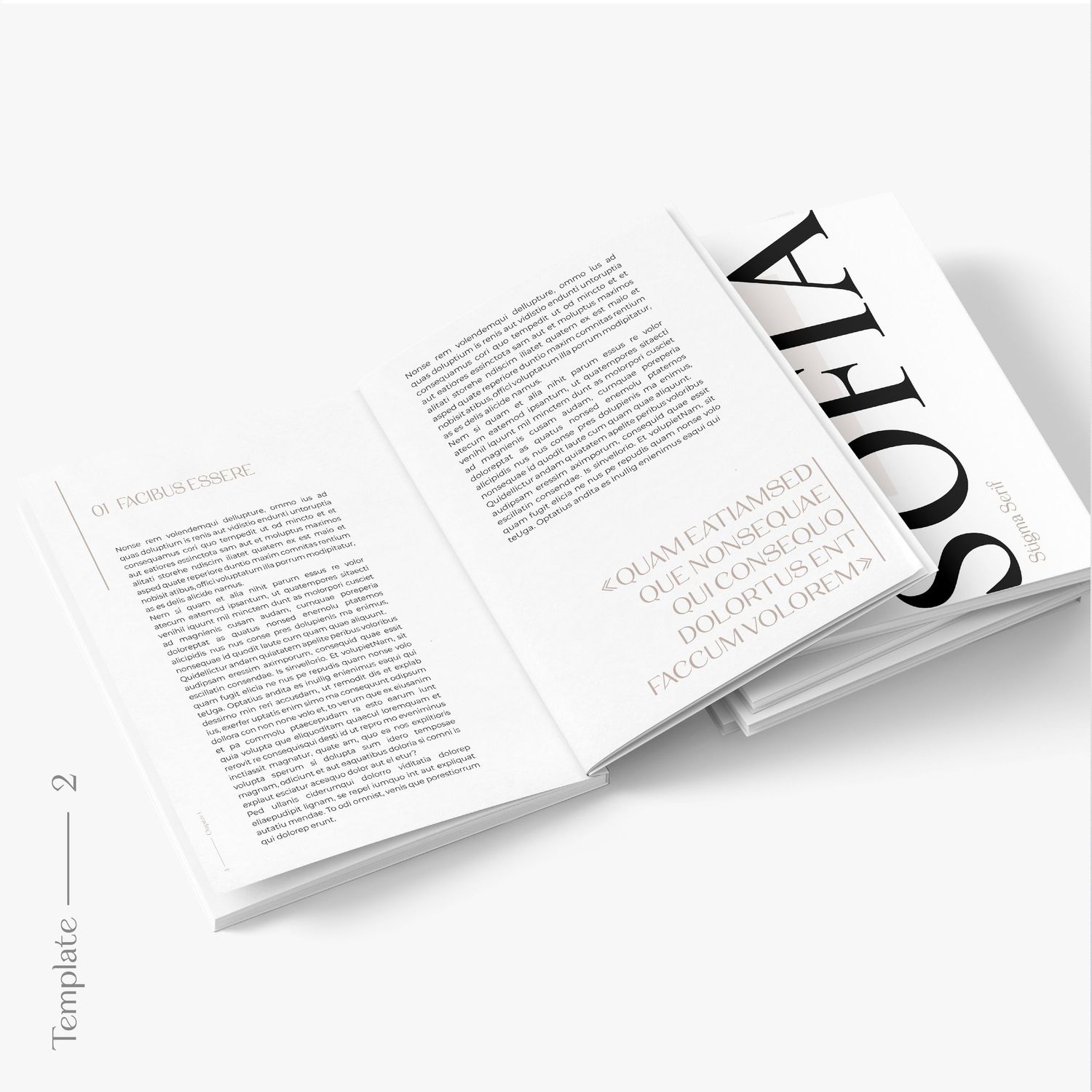 Livre
Edition
Mise en page