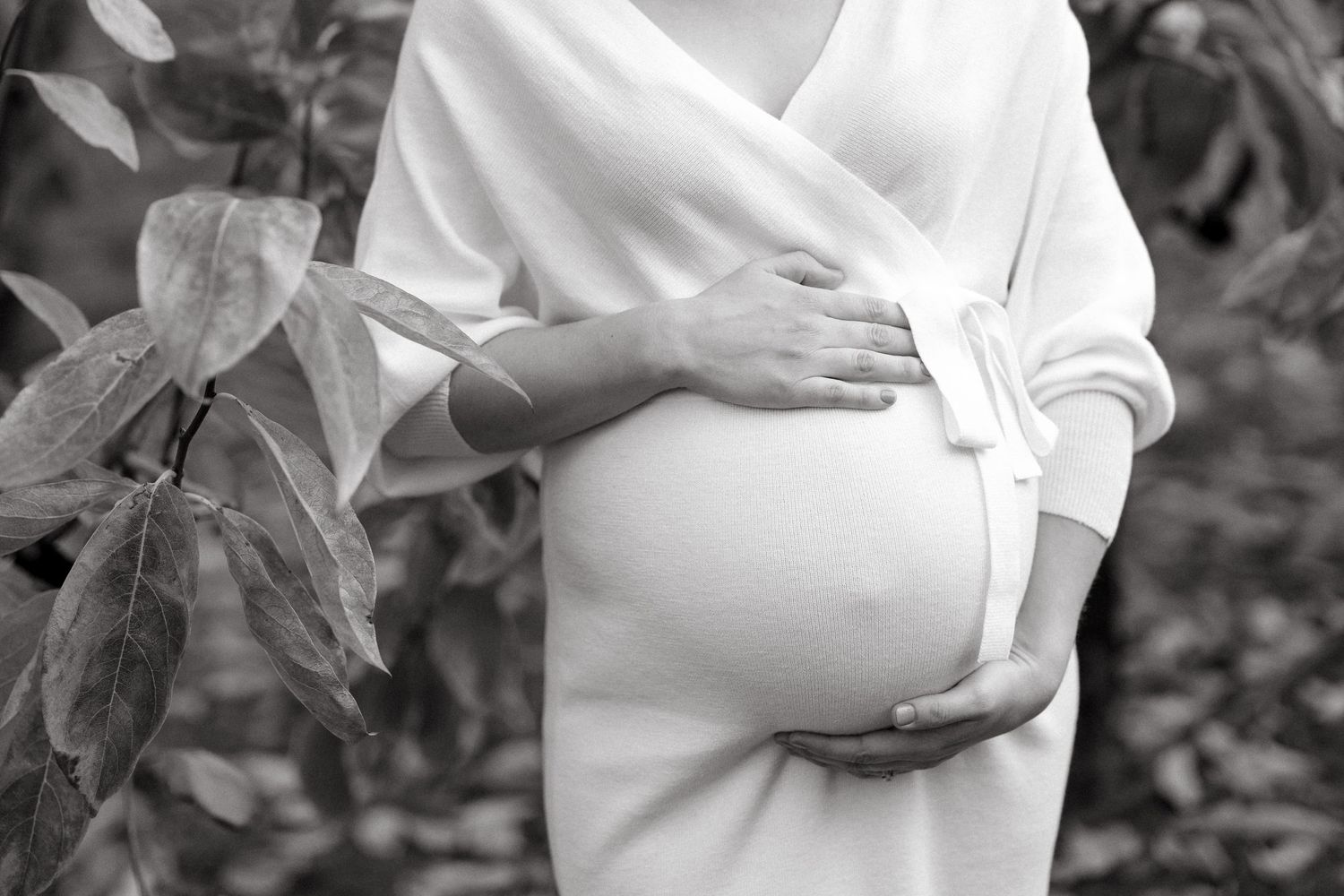 A black and white maternity portrait showing hands cradling a pregnant belly in an outdoor setting.