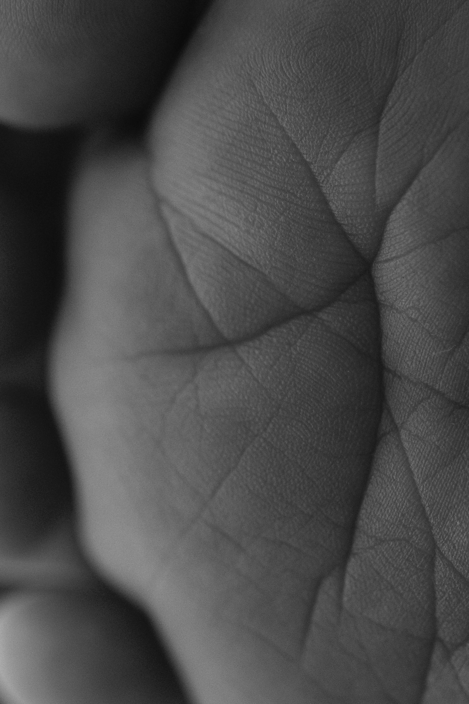 Detailed black and white macro photography of skin textures and lines.