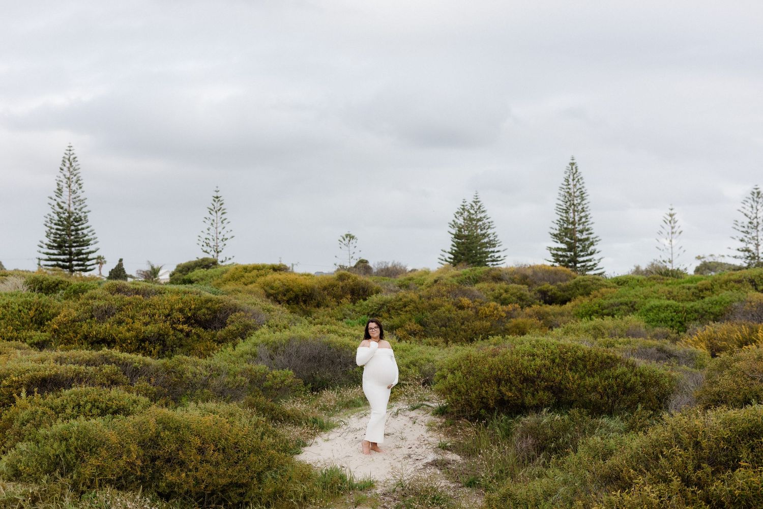 A scenic coastal landscape with pine trees and shrubs on a cloudy day.