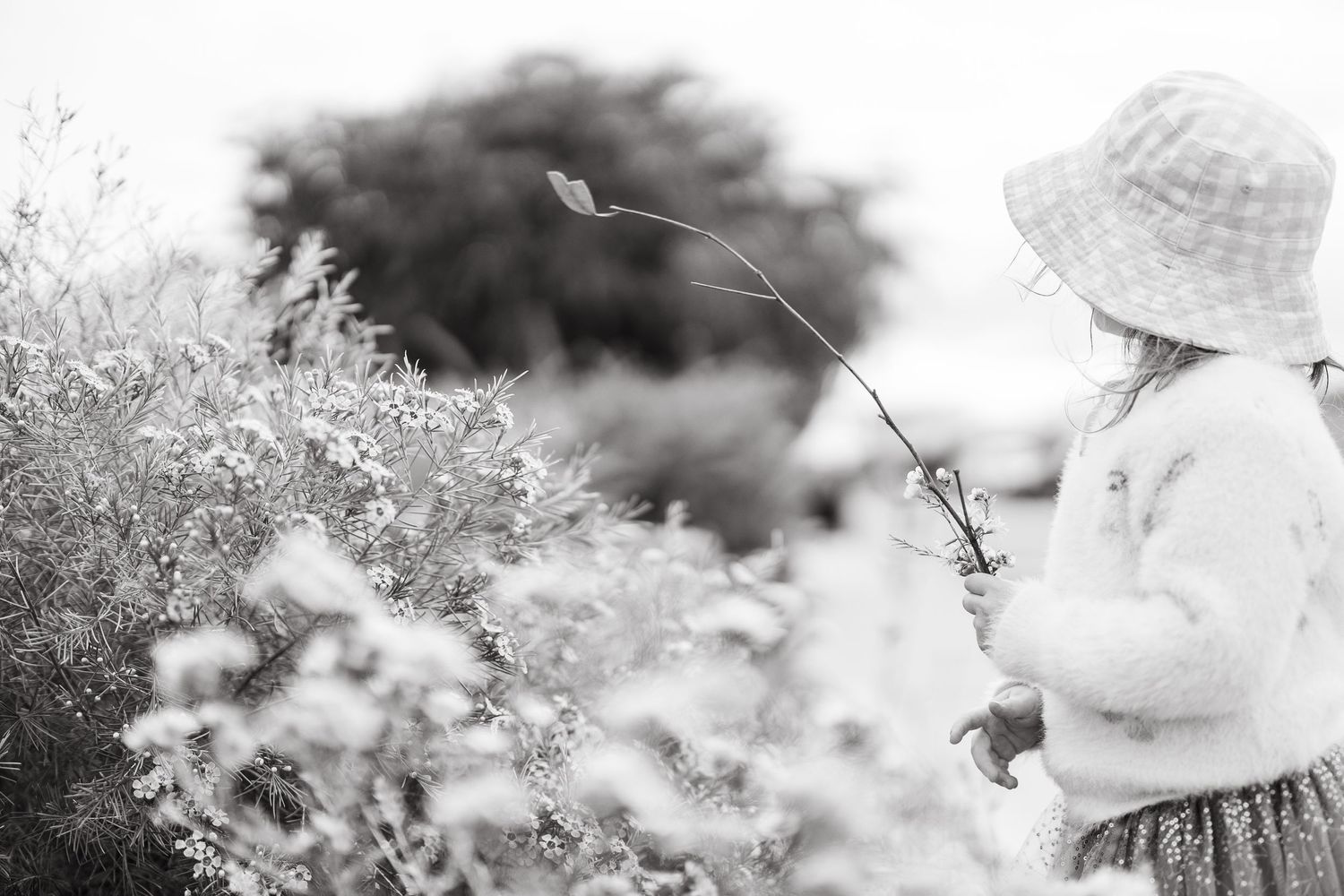 Black and white image of someone holding a single wildflower stem in a garden setting.