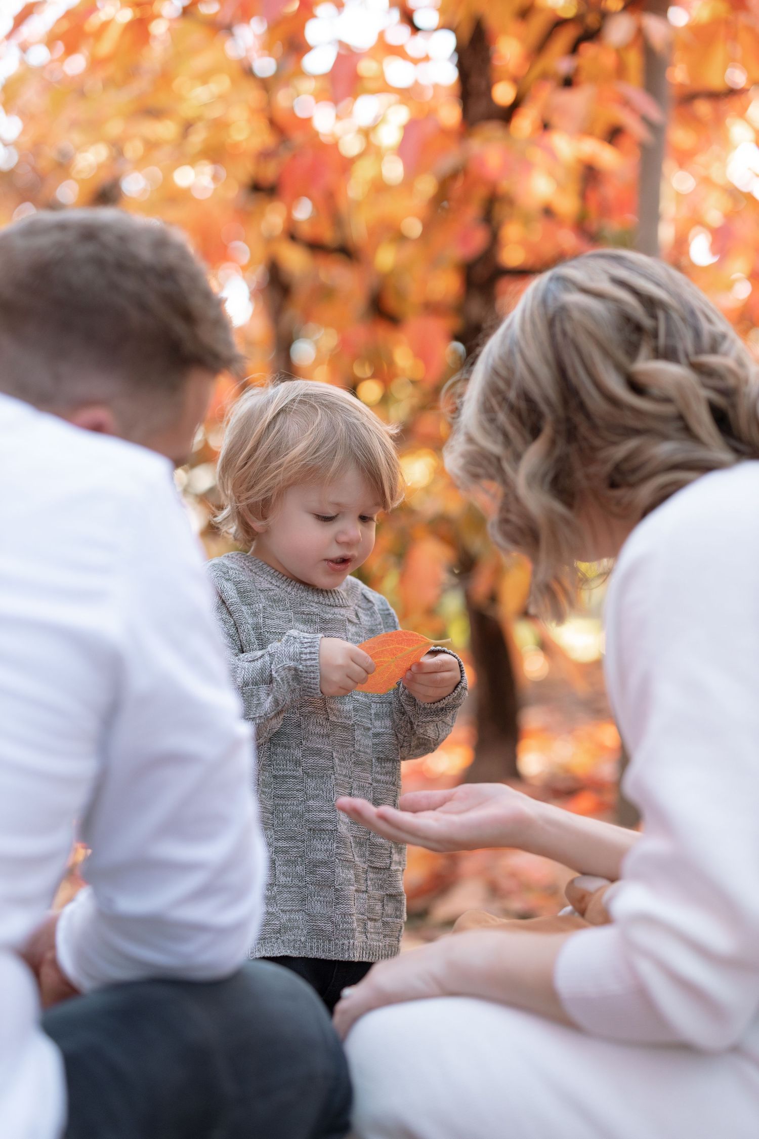 Family having a tender moment beneath orange fall foliage.