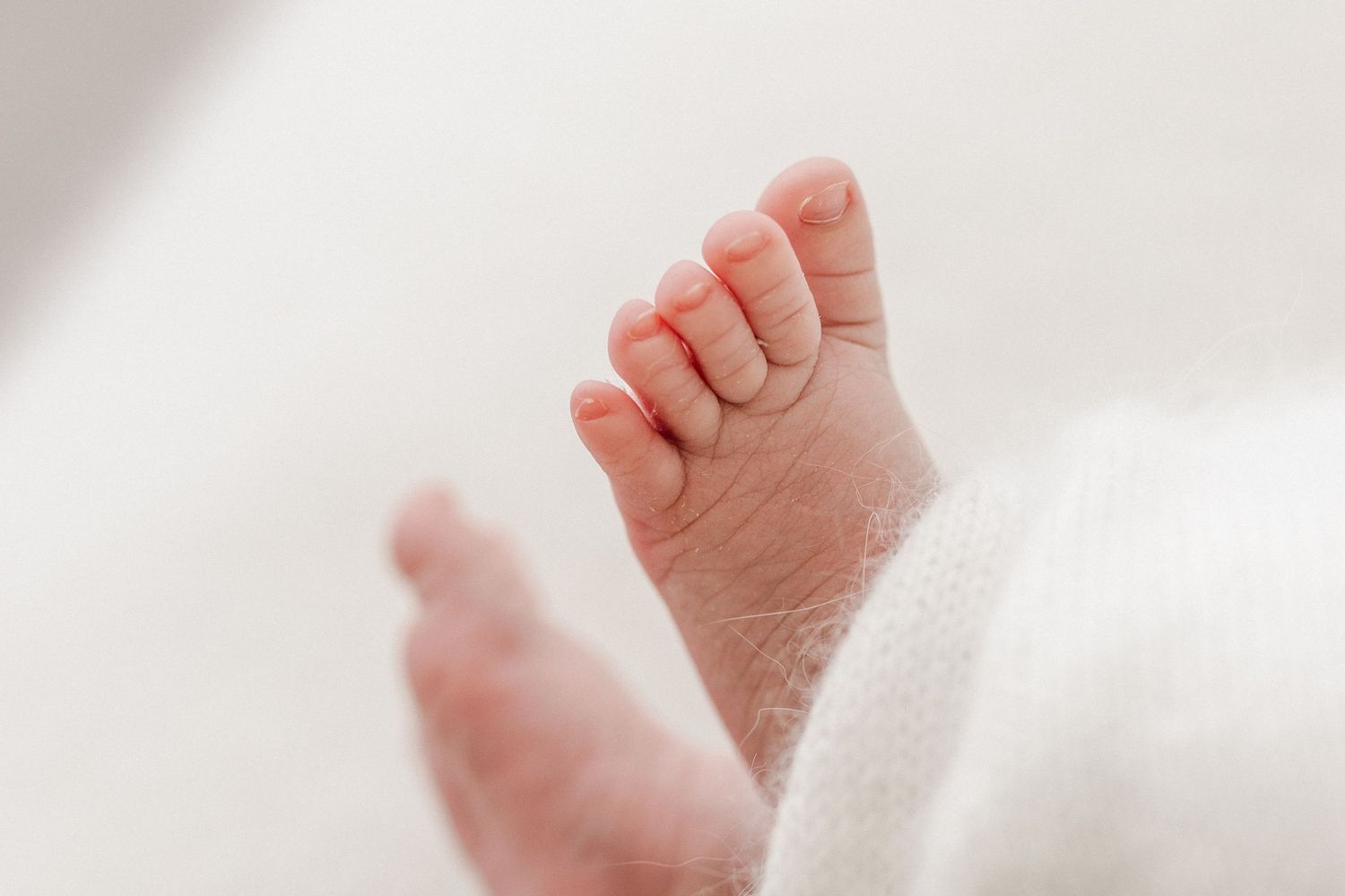 Close-up of tiny baby feet wrapped in soft white fabric.