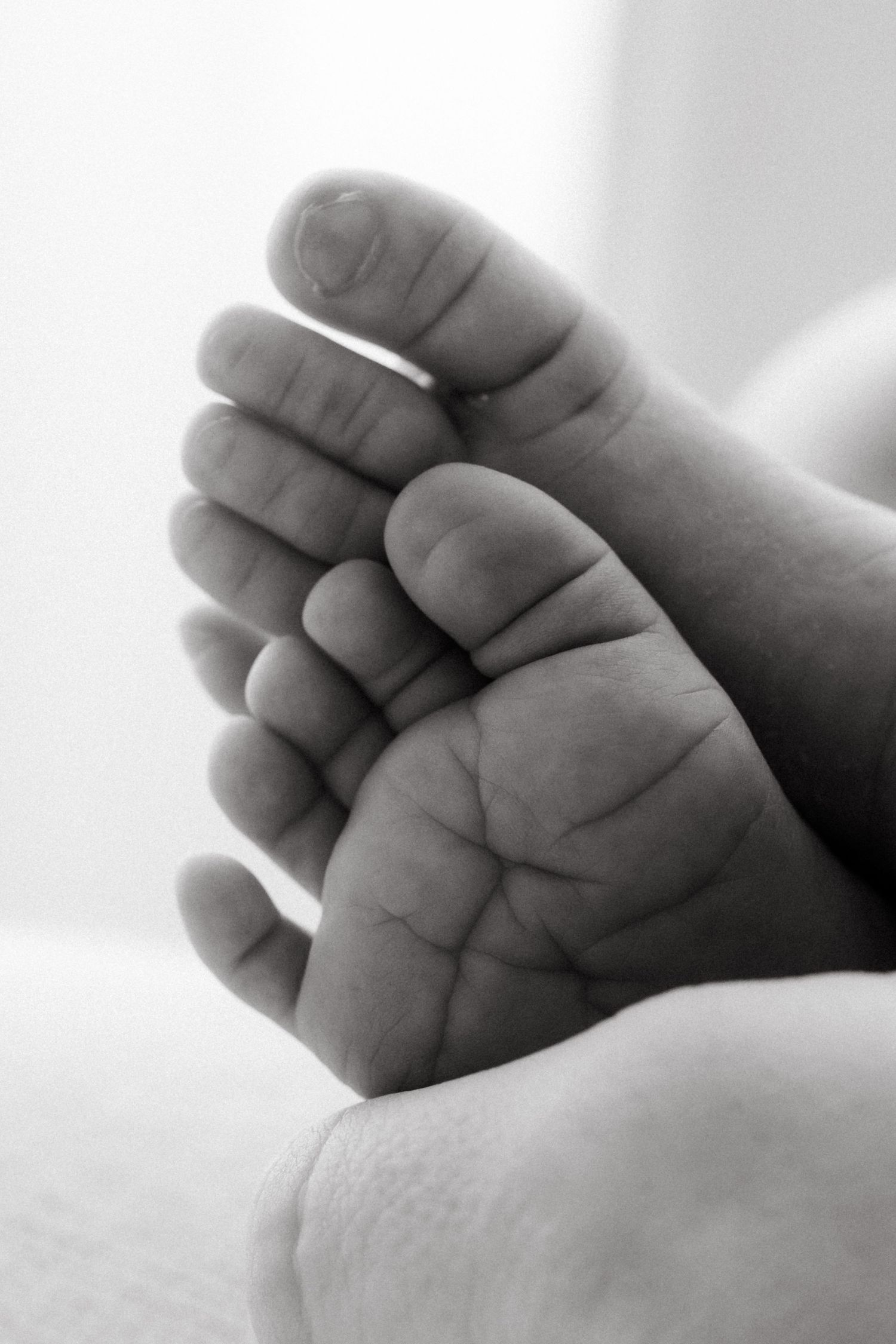 Black and white close-up of tiny newborn baby feet showing delicate details.
