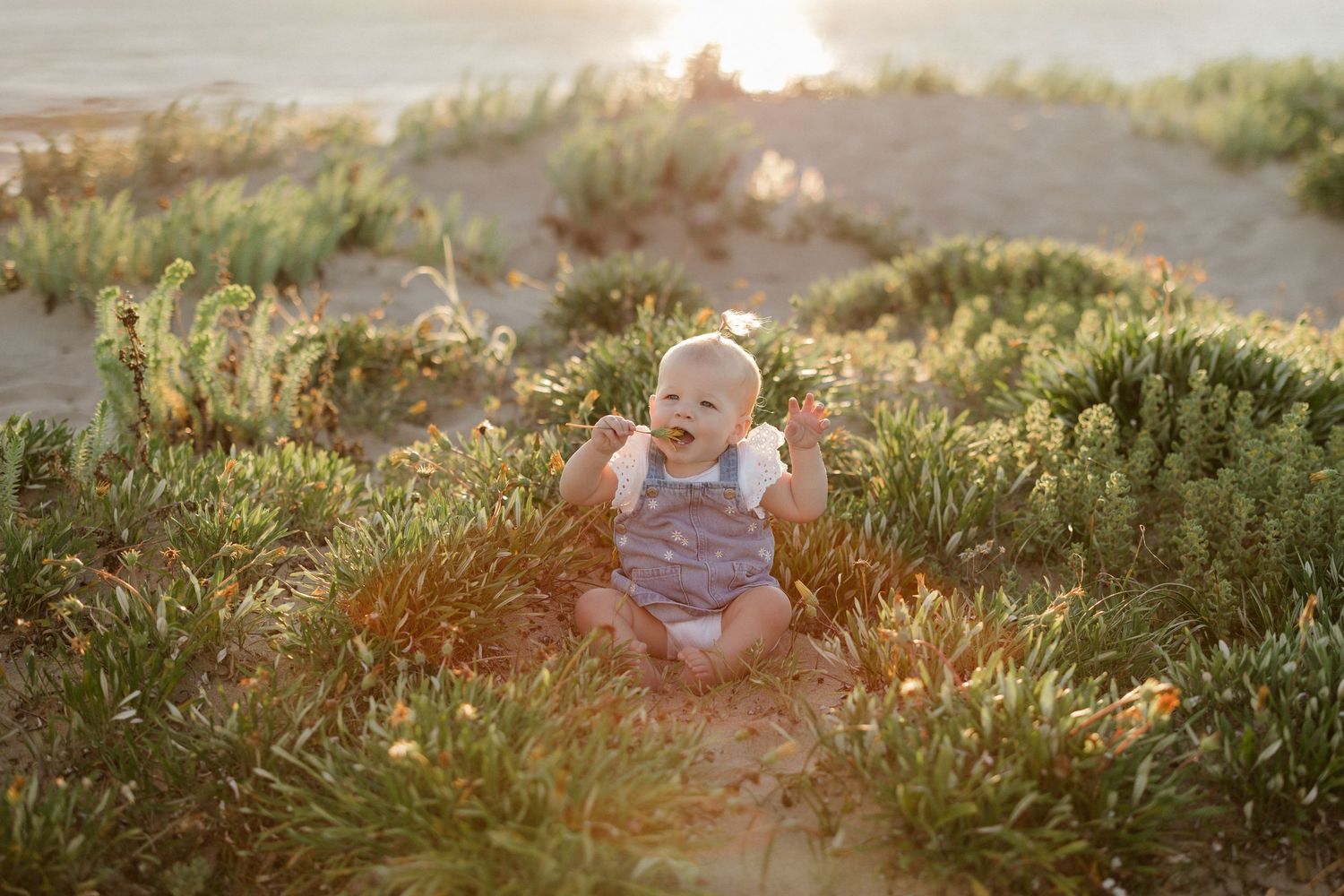 Scenic beach landscape with green foliage and golden sunset lighting.