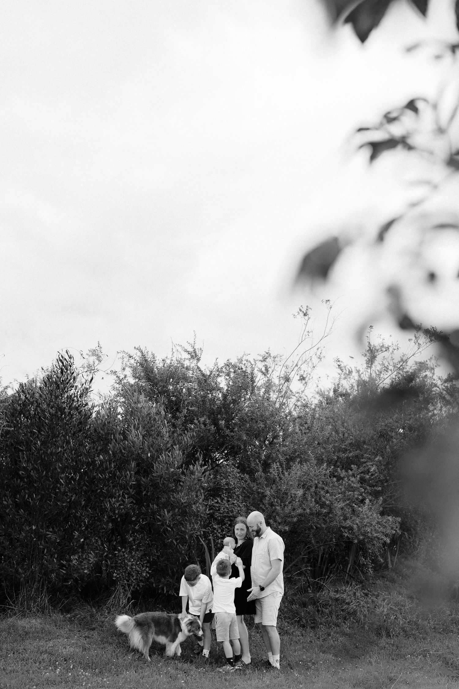 Silhouetted group poses against bushes in black and white landscape photo.