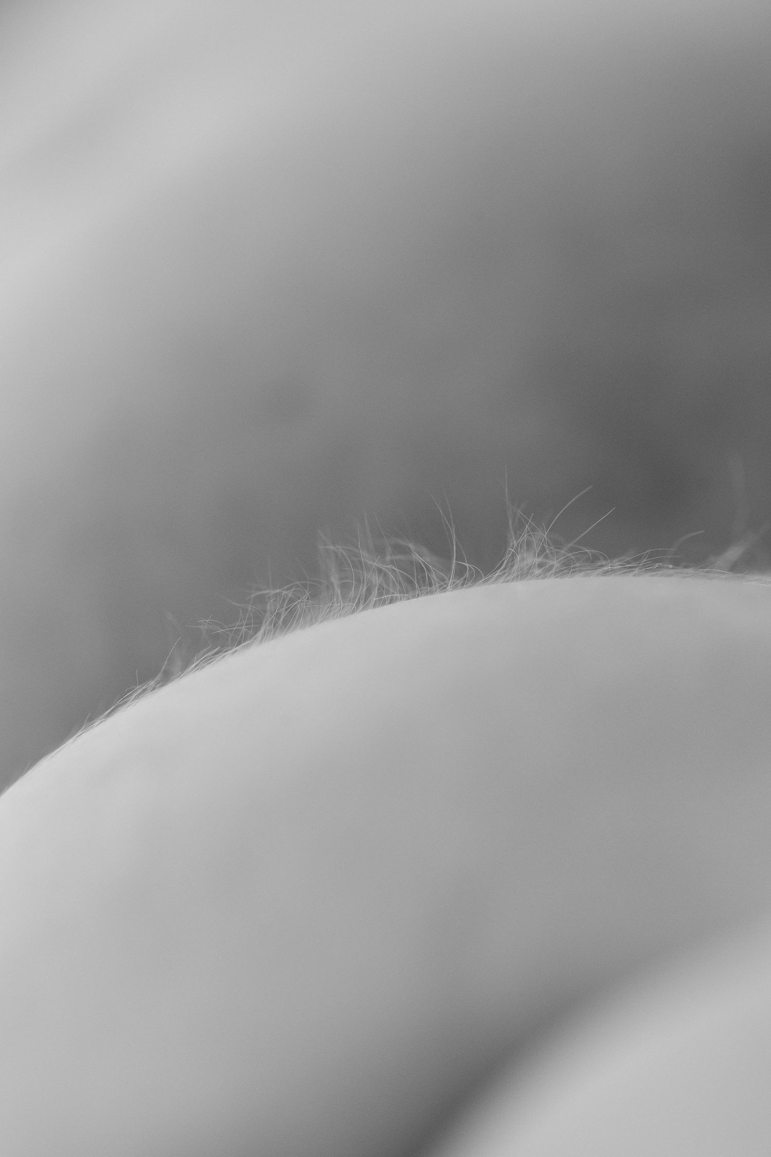 Abstract black and white close-up of soft baby hair and skin.