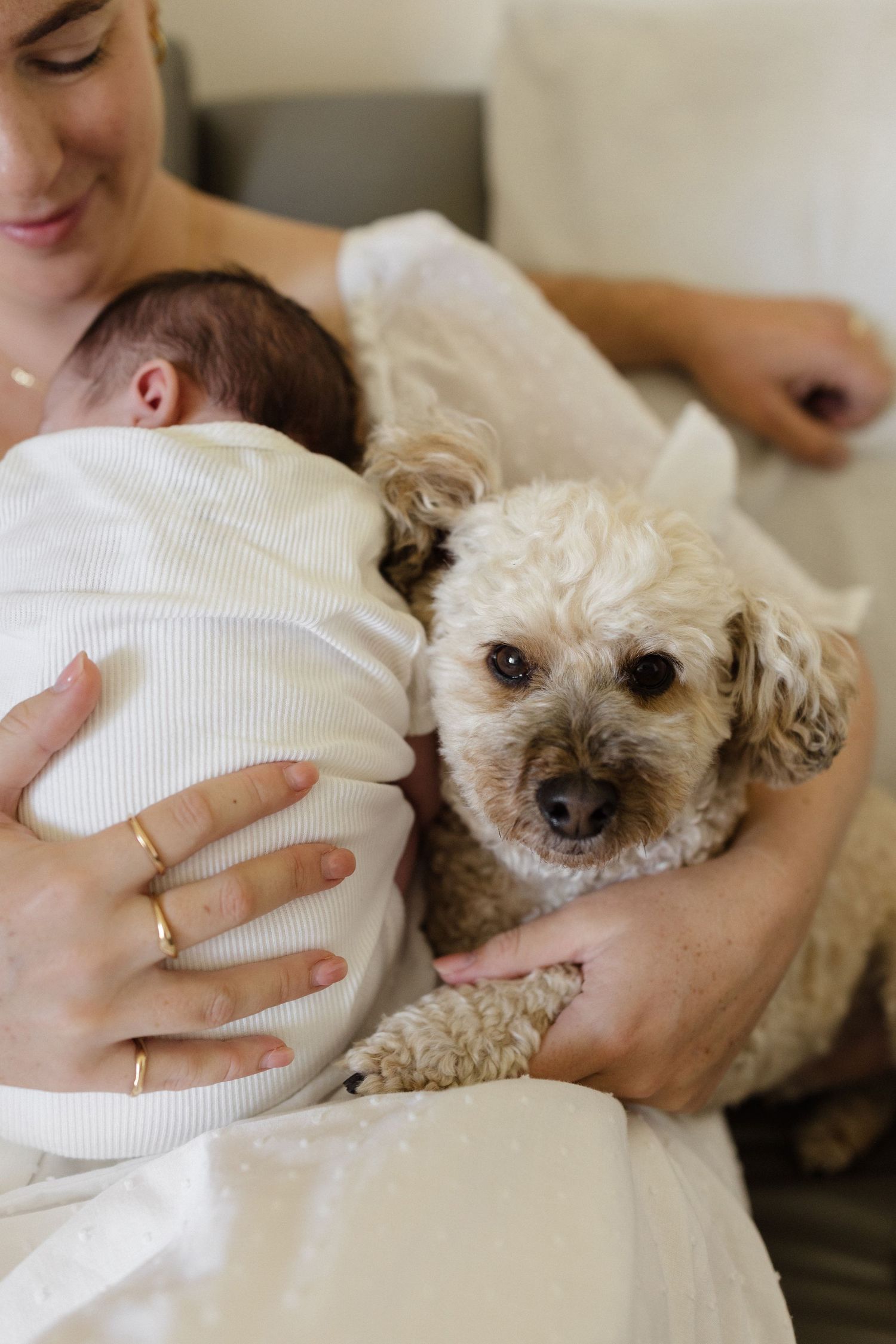 Small white dog cuddling with newborn baby in white clothing.