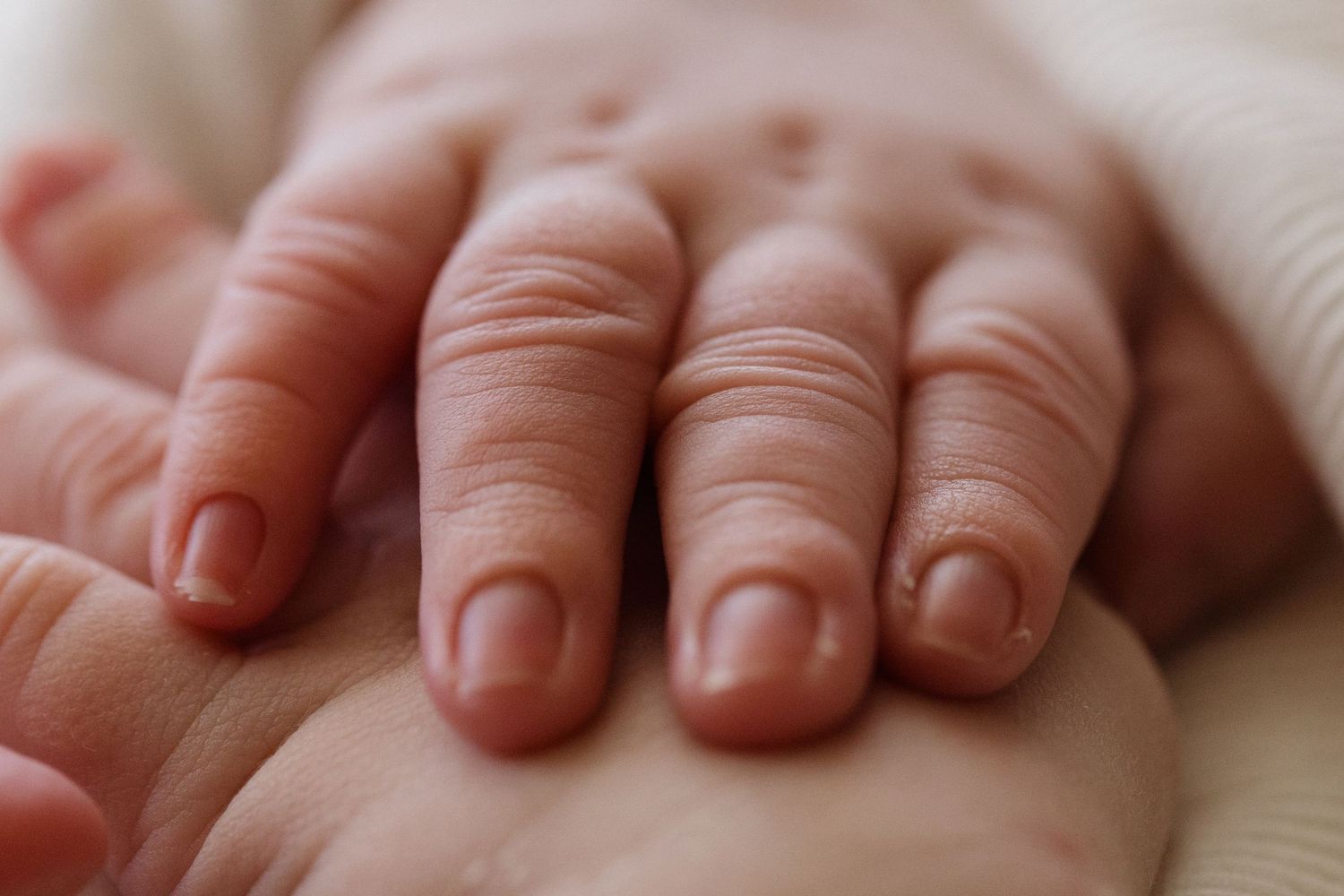 Macro shot of tiny baby fingers against white background.