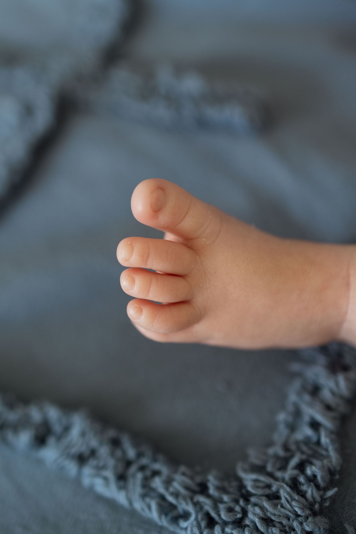 Close-up of tiny baby toes against gray textured blanket background.