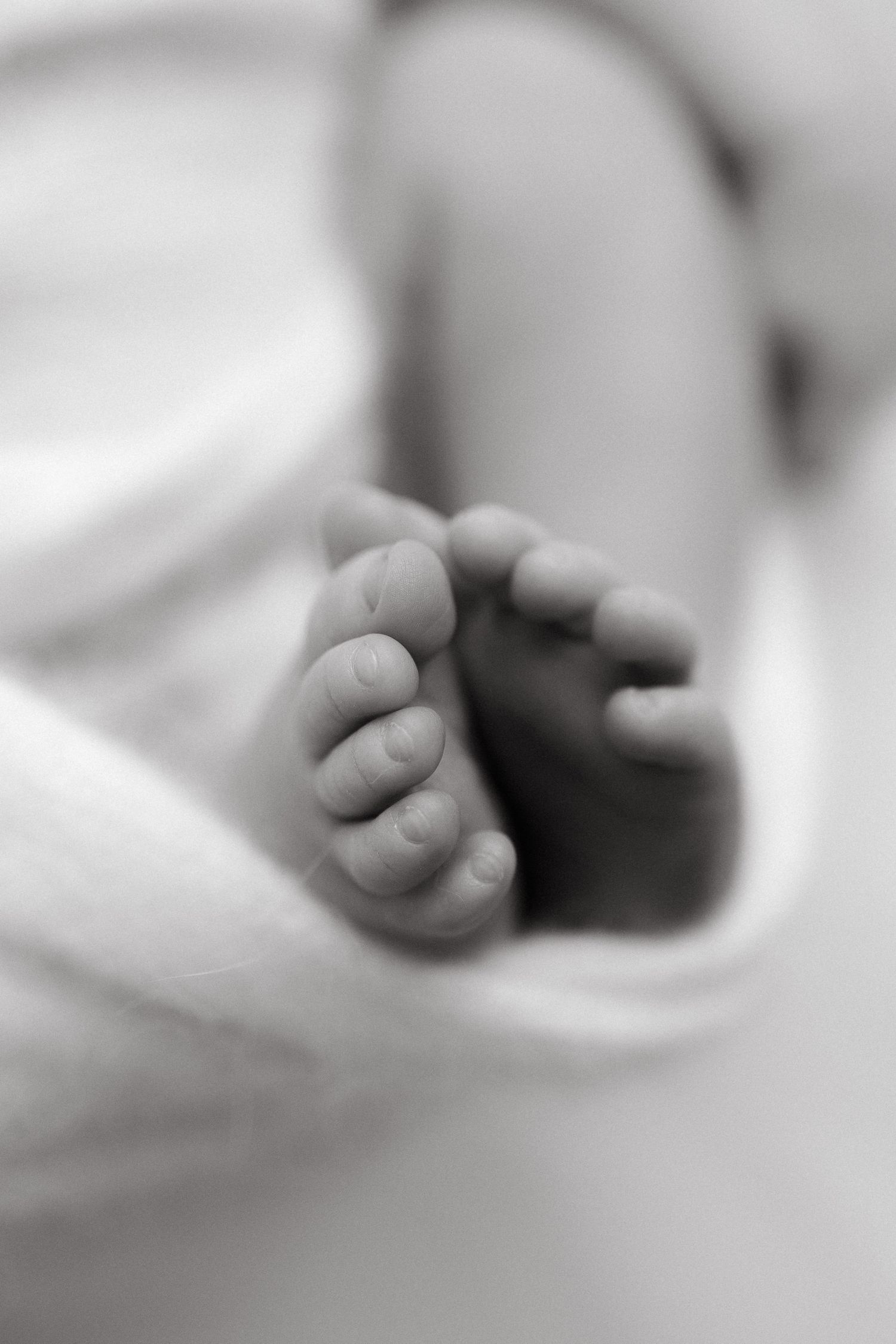 Close-up black and white image of tiny newborn baby feet wrapped in soft fabric.