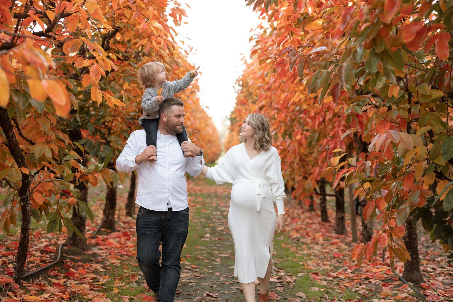 Family walking together through rows of autumn trees with orange leaves.