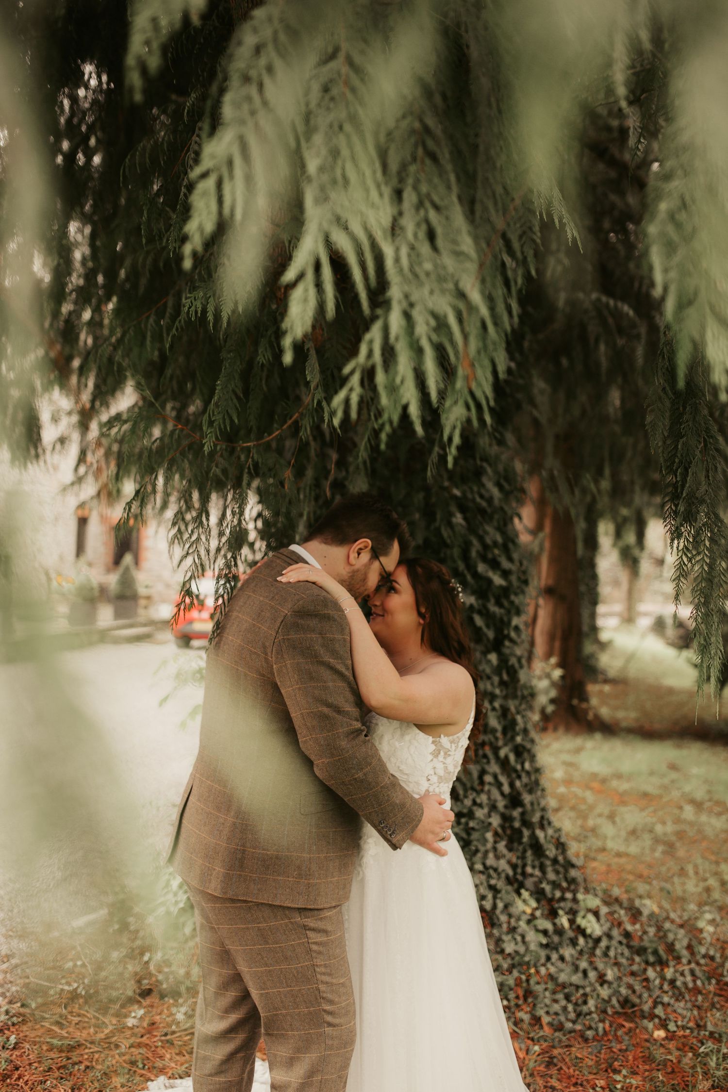 A bride and groom share a romantic kiss under a weeping evergreen tree, the groom in a plaid suit and bride in white gown.