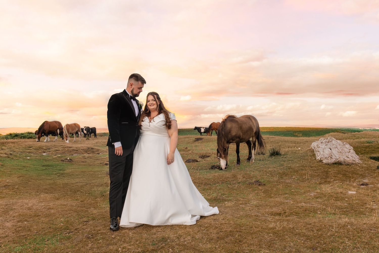 A couple in wedding attire poses in a field with wild horses grazing in the background during sunset.