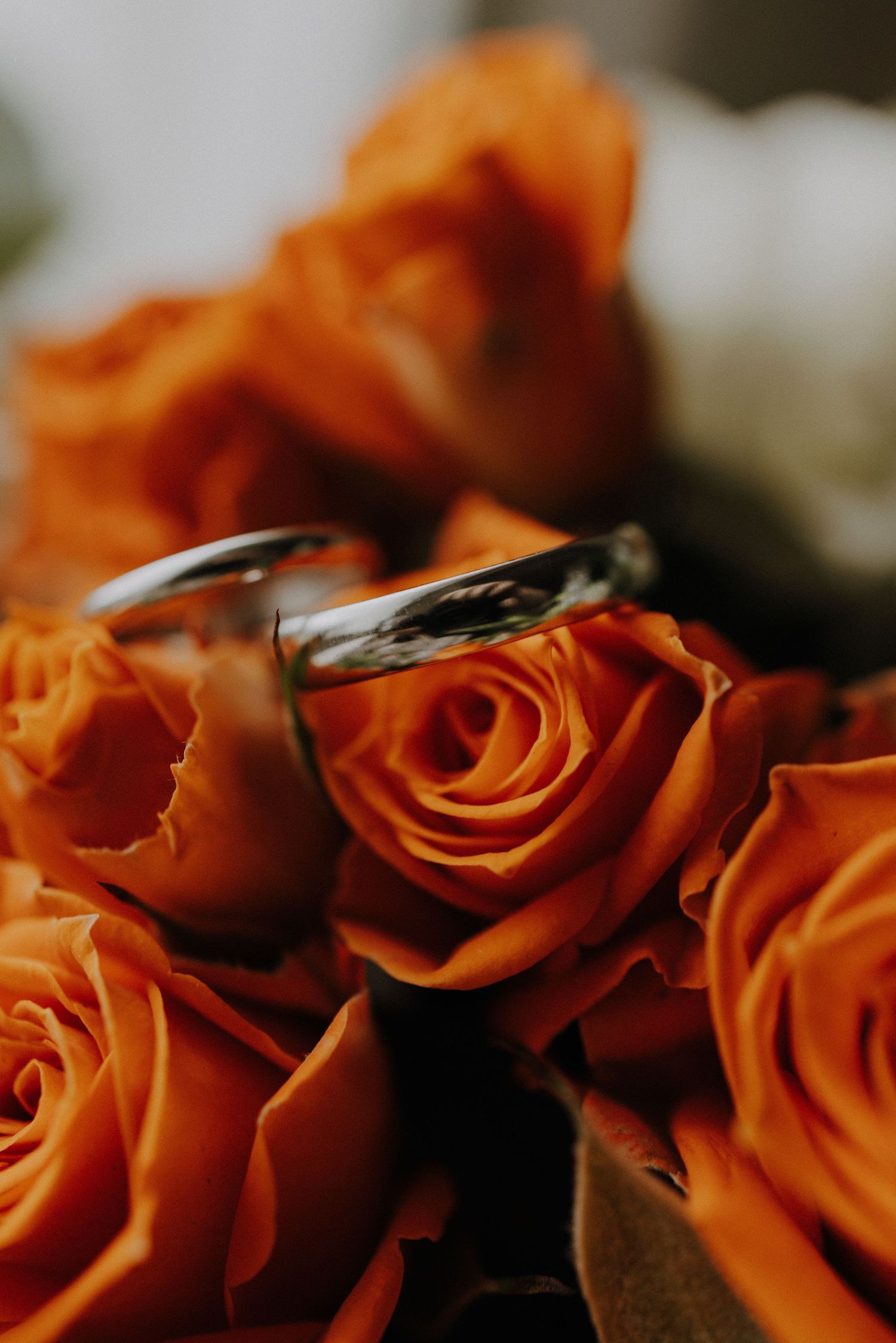 Wedding rings nestled among vibrant orange roses in macro photography.
