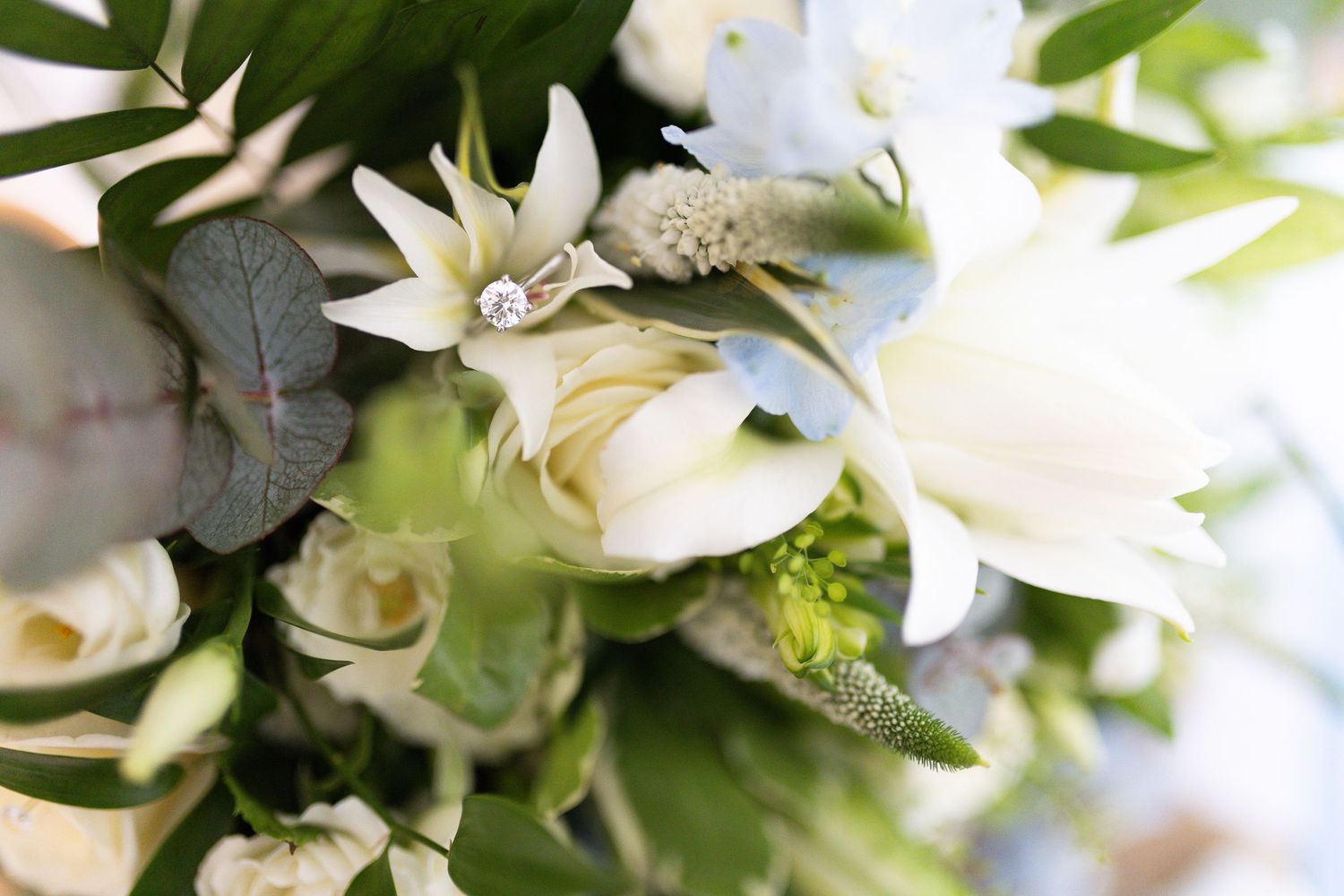 Close-up of elegant white wedding bouquet featuring roses, lilies, and eucalyptus with a diamond ring nestled among blooms.