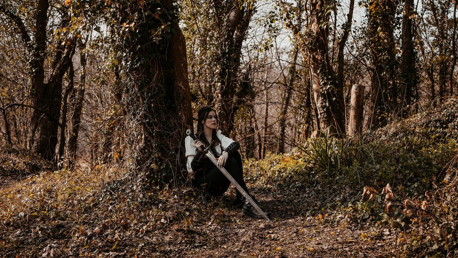 Moody autumn forest scene with fallen leaves and bare trees in natural lighting.