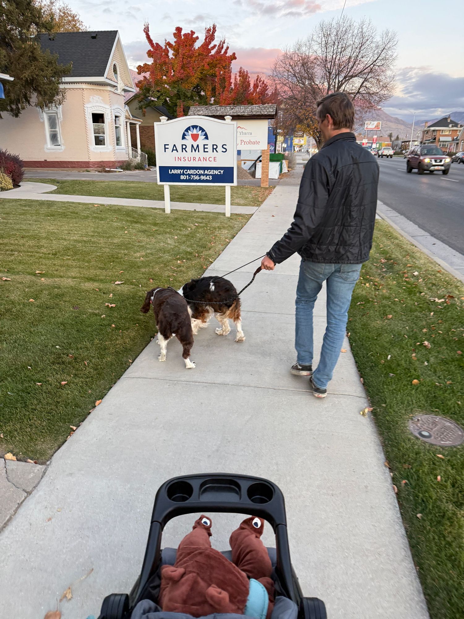 A walk in the neighborhood.
