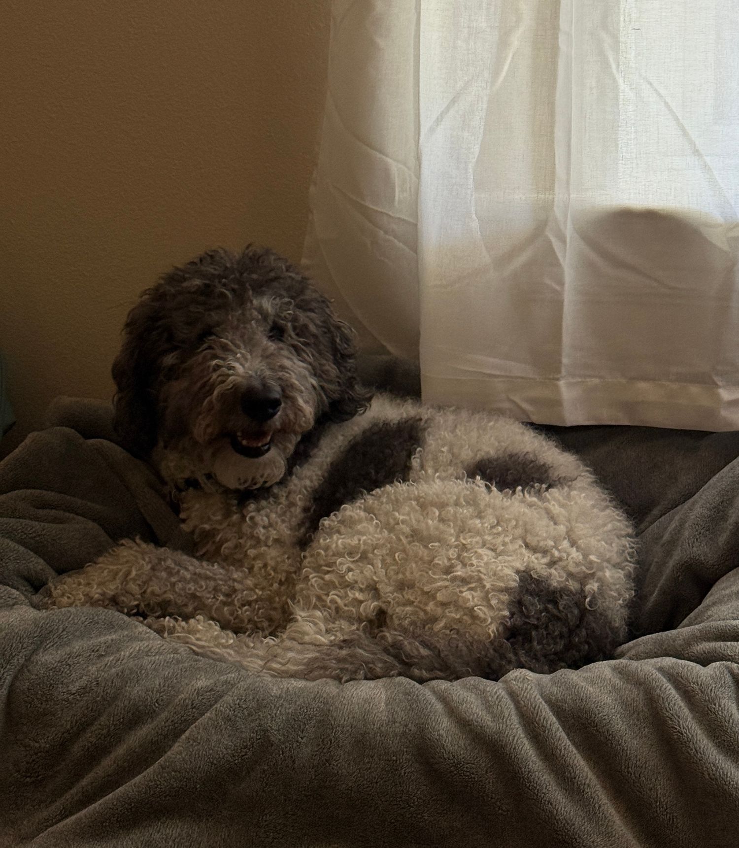 A doodle cozy by the window.