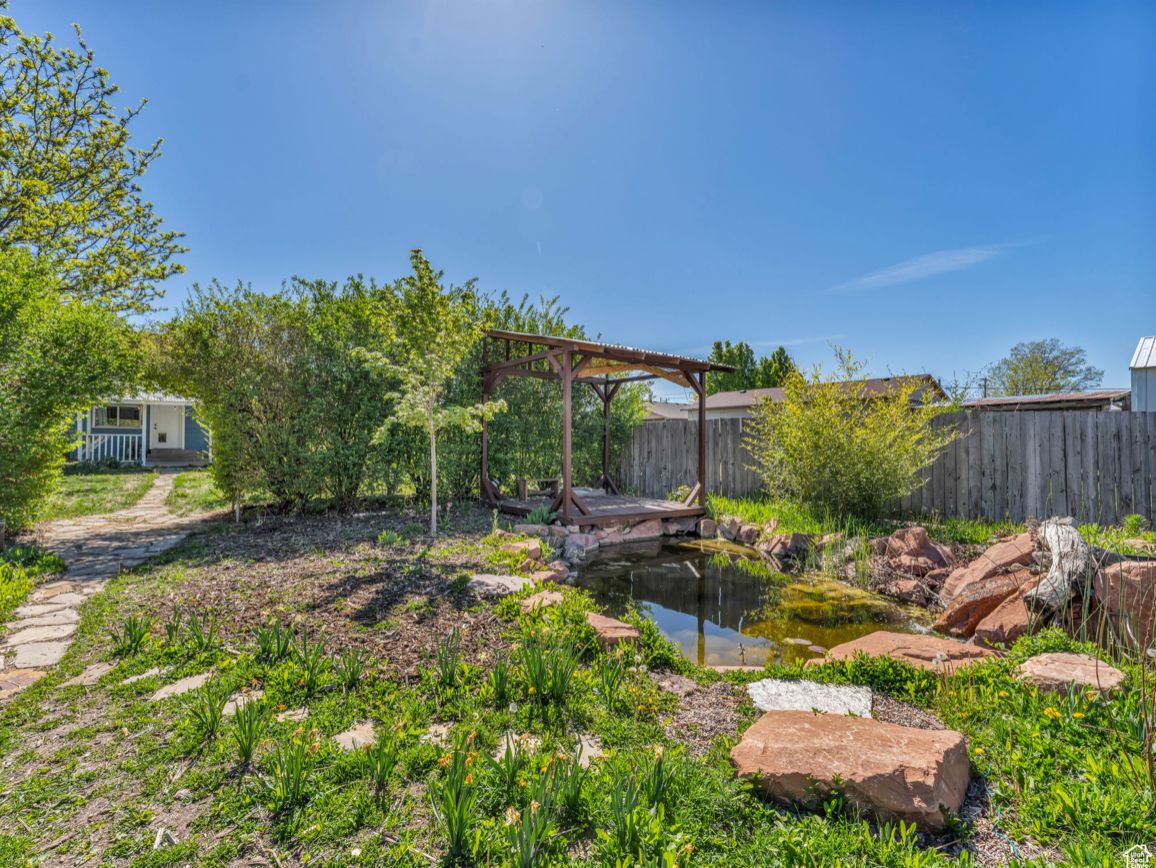 A look at our luscious yard and pond.