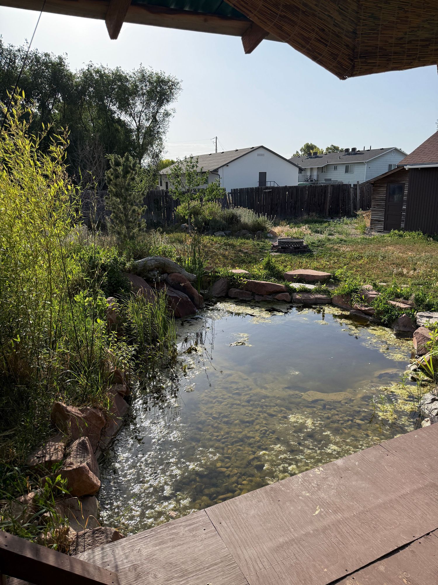 A look at the pond from the perspective of our pavilion.