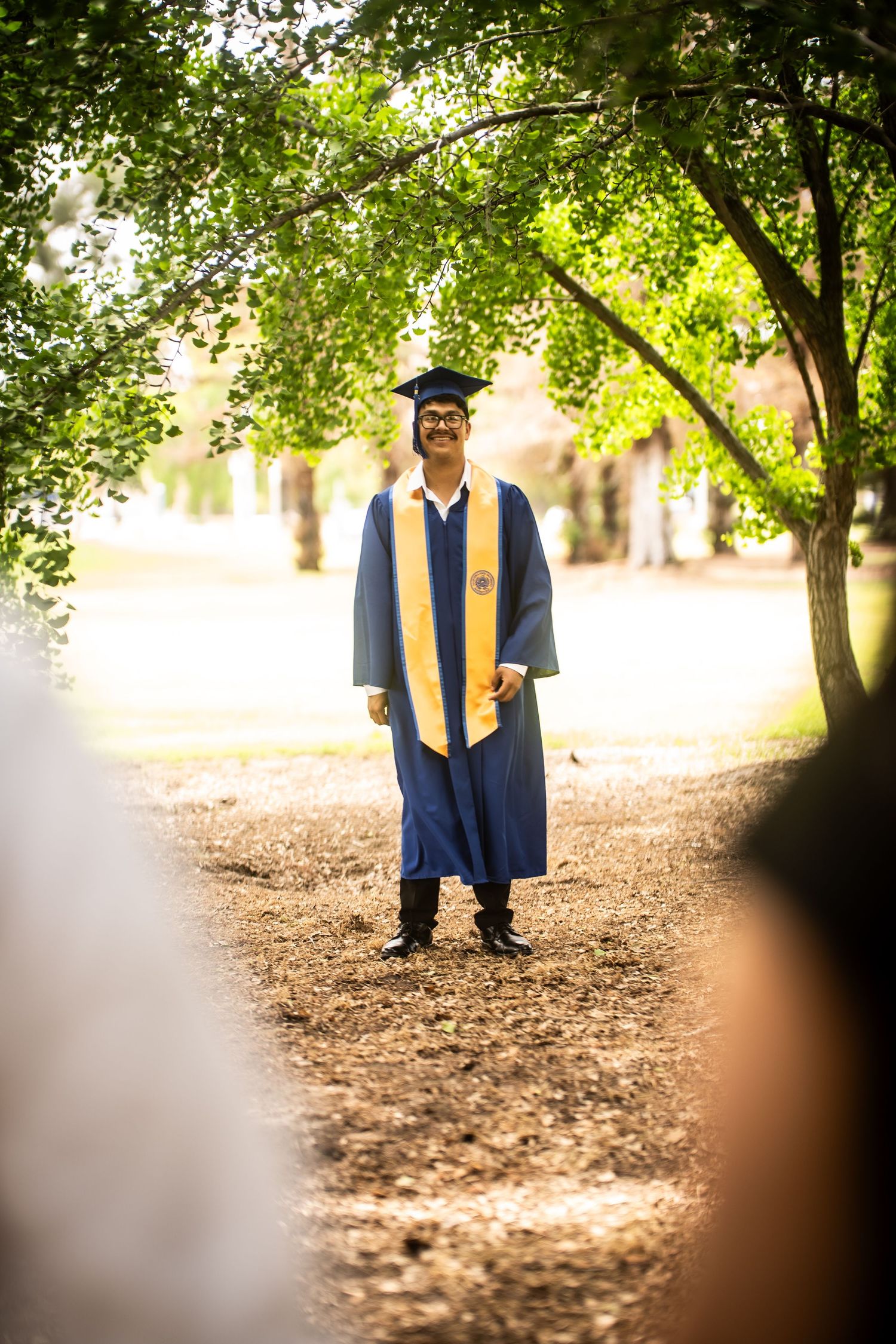 A graduate in blue cap and gown with gold stole stands proudly on a tree-lined path.