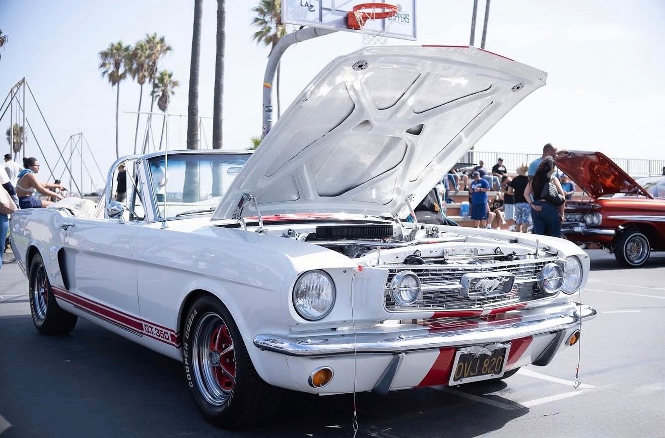 White Ford Mustang Shelby GT350 convertible with hood open displayed at an outdoor classic car show.