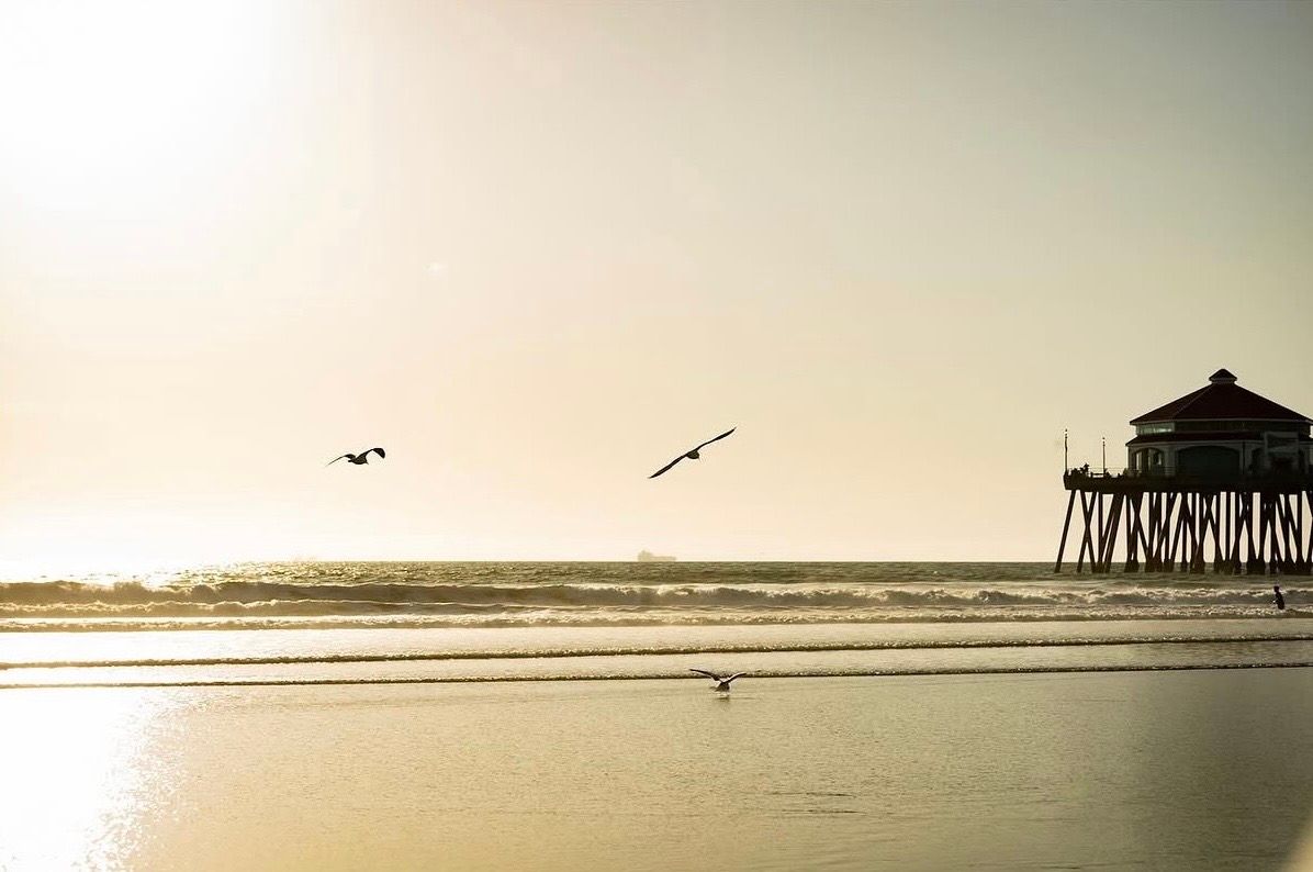 Seagulls soaring over a sunlit beach near a wooden pier at golden hour, with calm ocean waves in the background.