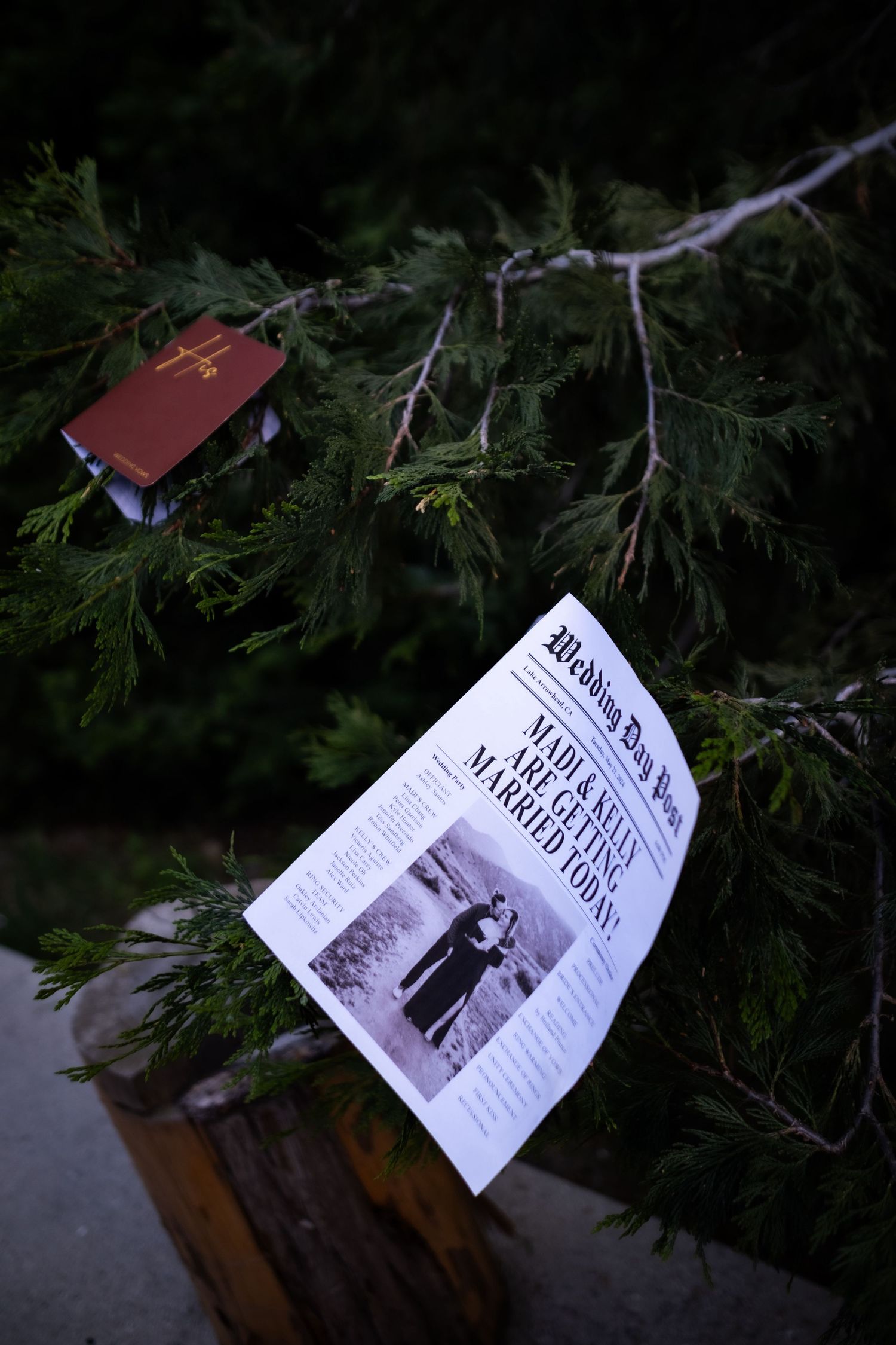 Wedding Day News newspaper announcement hanging on a tree branch at an outdoor wedding ceremony.
