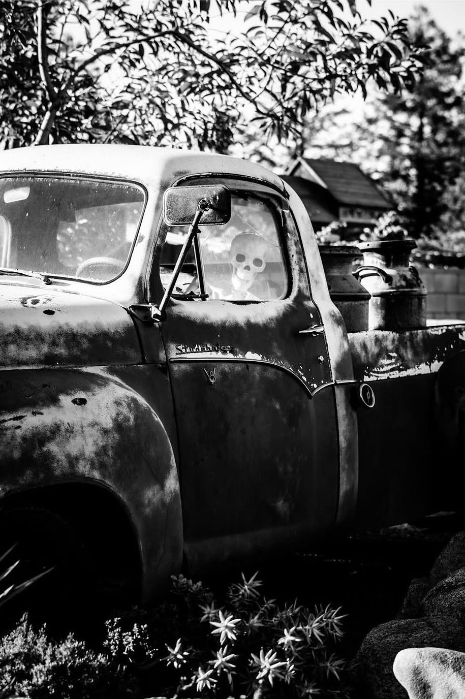 Black and white photo of a rusty abandoned vintage pickup truck overgrown with weeds in a rural junkyard setting.