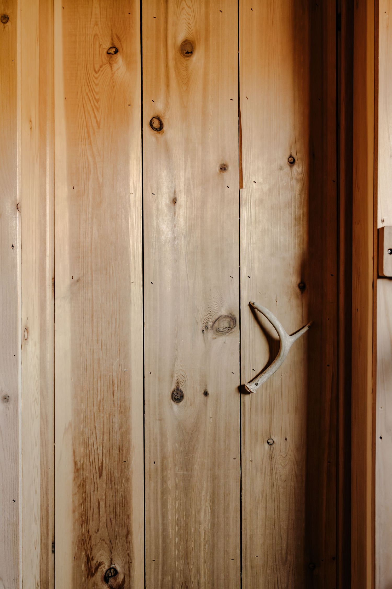 Rustic knotty pine plank door with a natural antler door handle, showcasing warm wood grain and cabin-style charm.