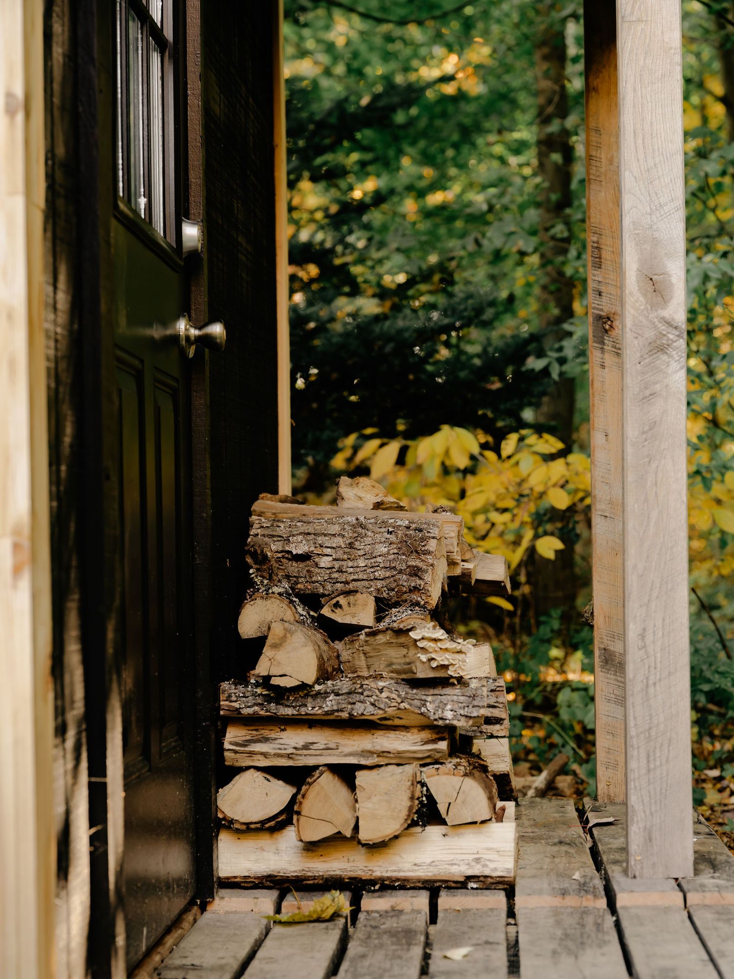 Stacked firewood sits on a wooden porch beside a dark cabin door, with golden autumn foliage glowing in the forest behind.