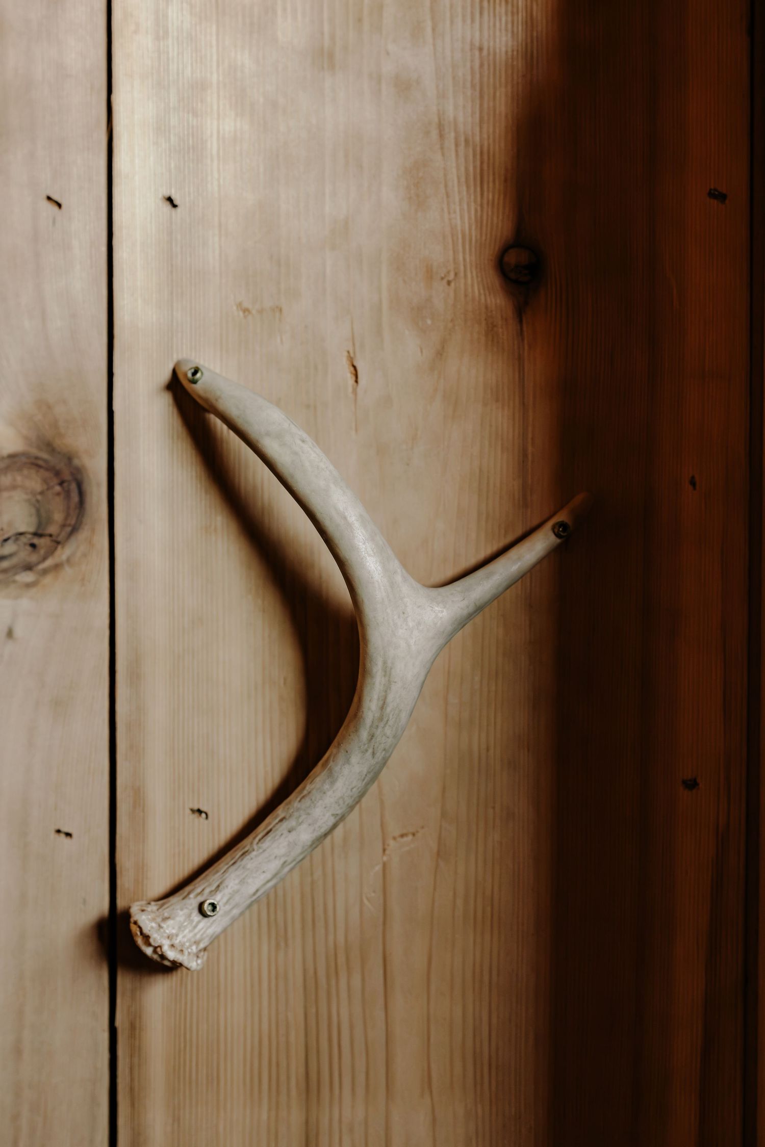 Rustic antler door handle mounted on a light knotty pine wooden door with visible grain and knots.