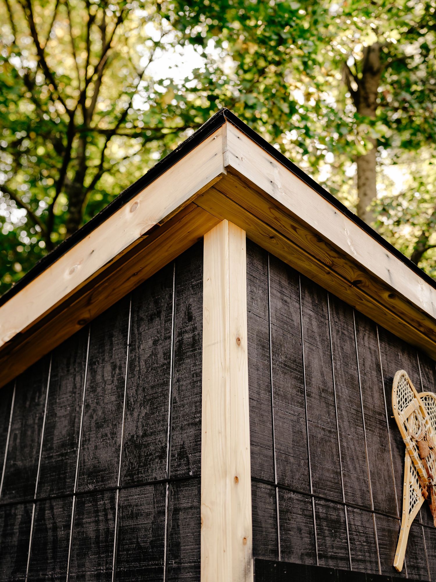 Corner of a dark wooden cabin with light cedar trim and a vintage snowshoe hanging on the wall, framed by green trees.