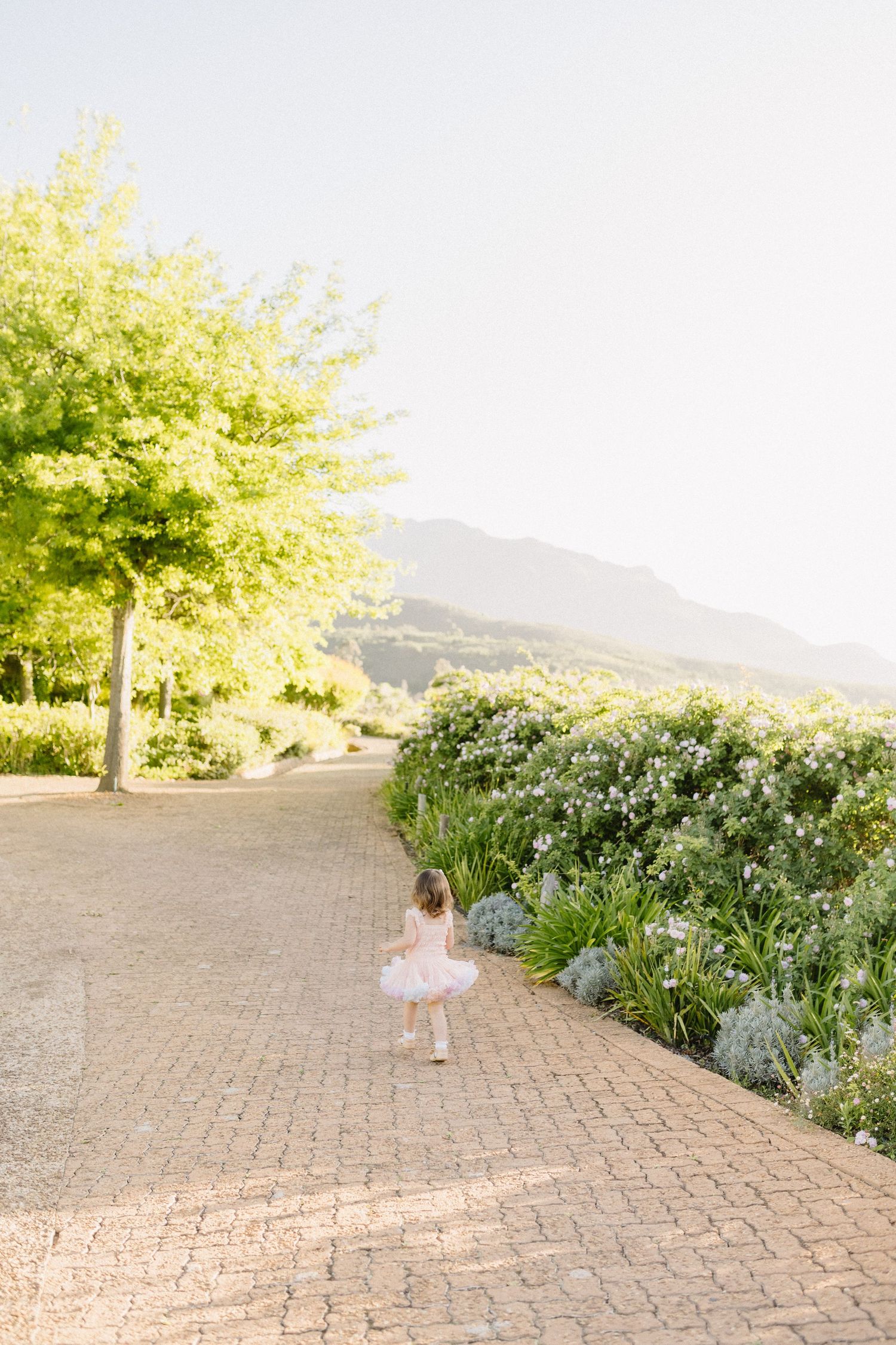 Little girl playing at Tokara.