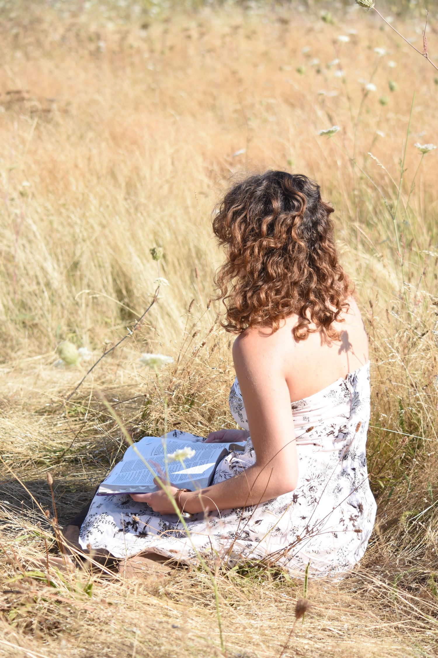 A person with curly brown hair sits in a white dress reading a book in a sunlit meadow of tall golden grass.
