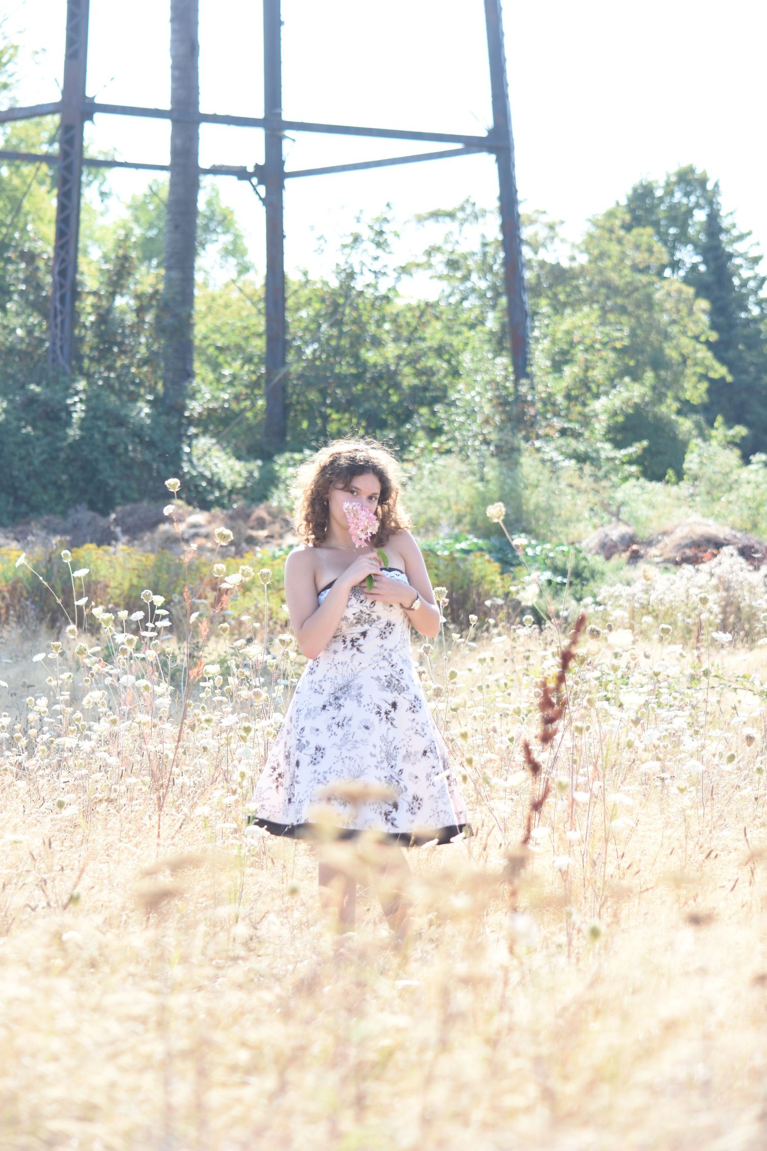 A woman in a white dress sits gracefully in a sun-drenched meadow with tall golden grass and trees in the background.