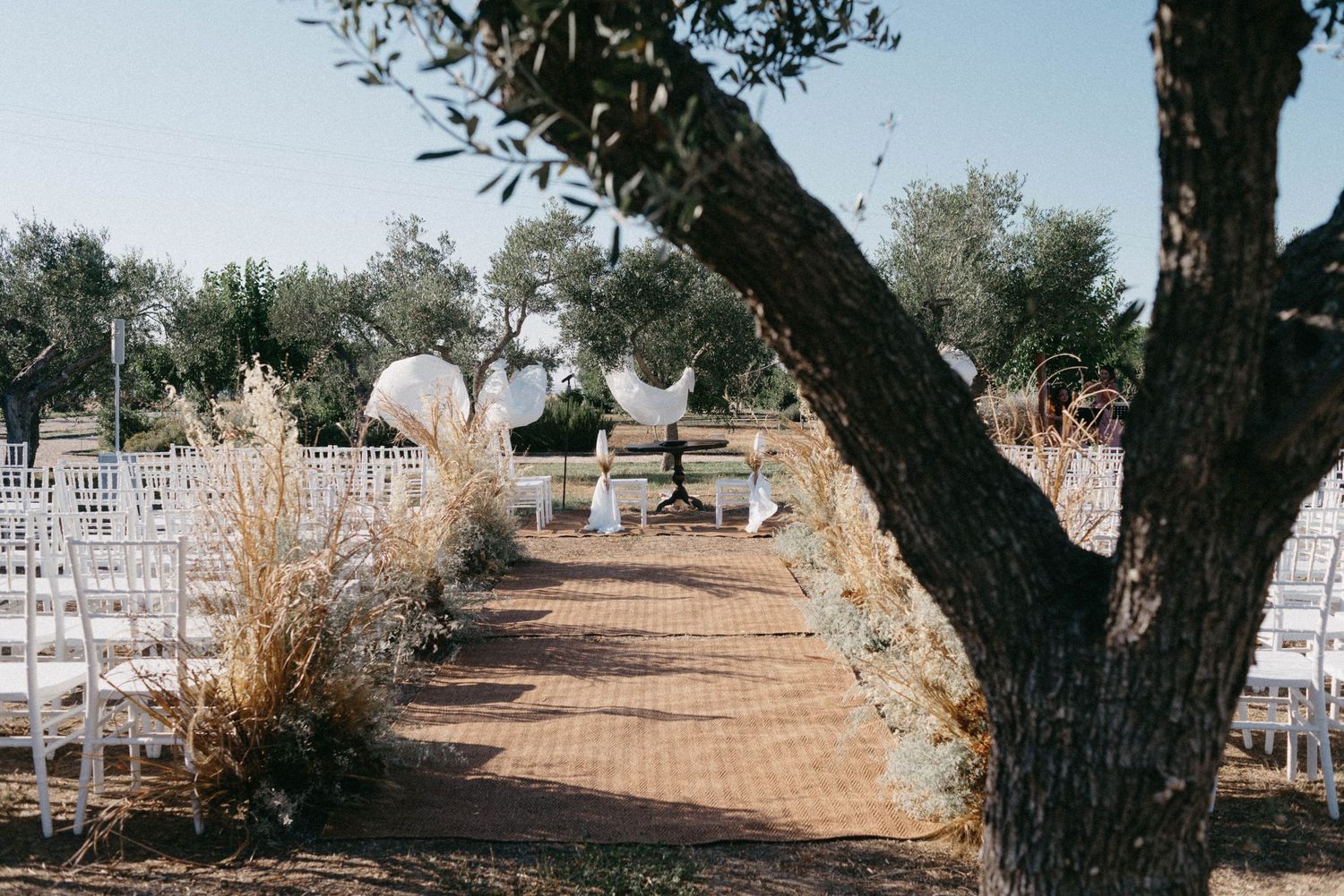 A row of olive trees line a path with reddish gravel and an ornate wooden deck structure in the background.
