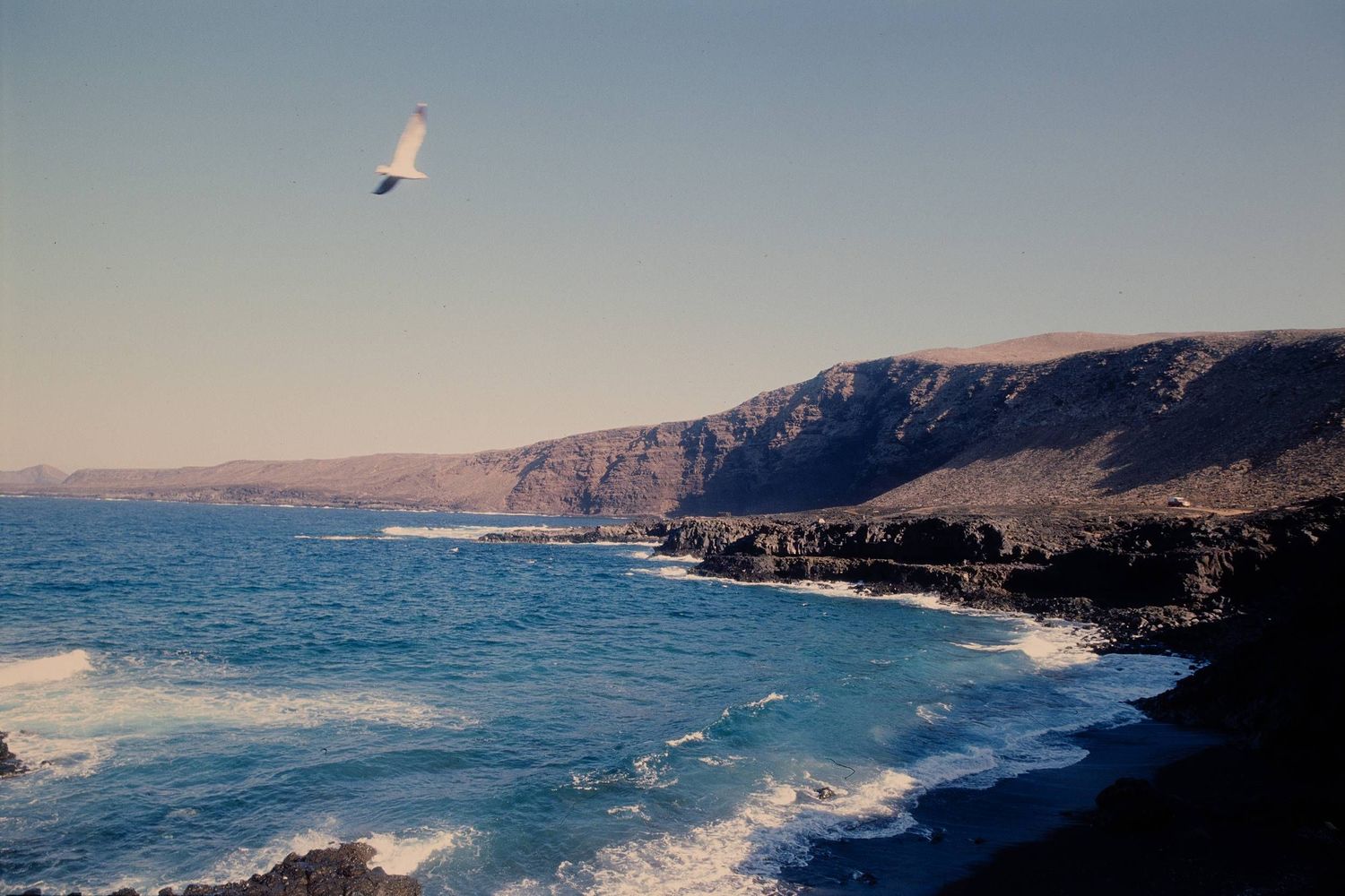 A paraglider soars over dramatic coastal cliffs and crashing waves along a rugged shoreline.