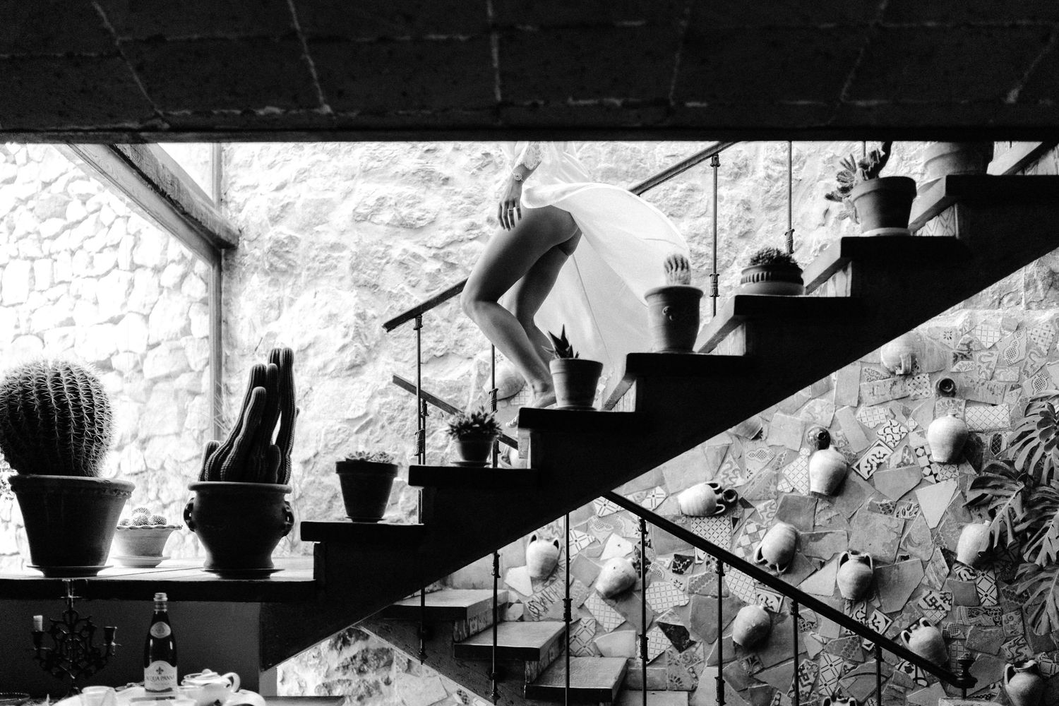 Black and white photograph showing a staircase adorned with potted plants along the steps in dramatic lighting.