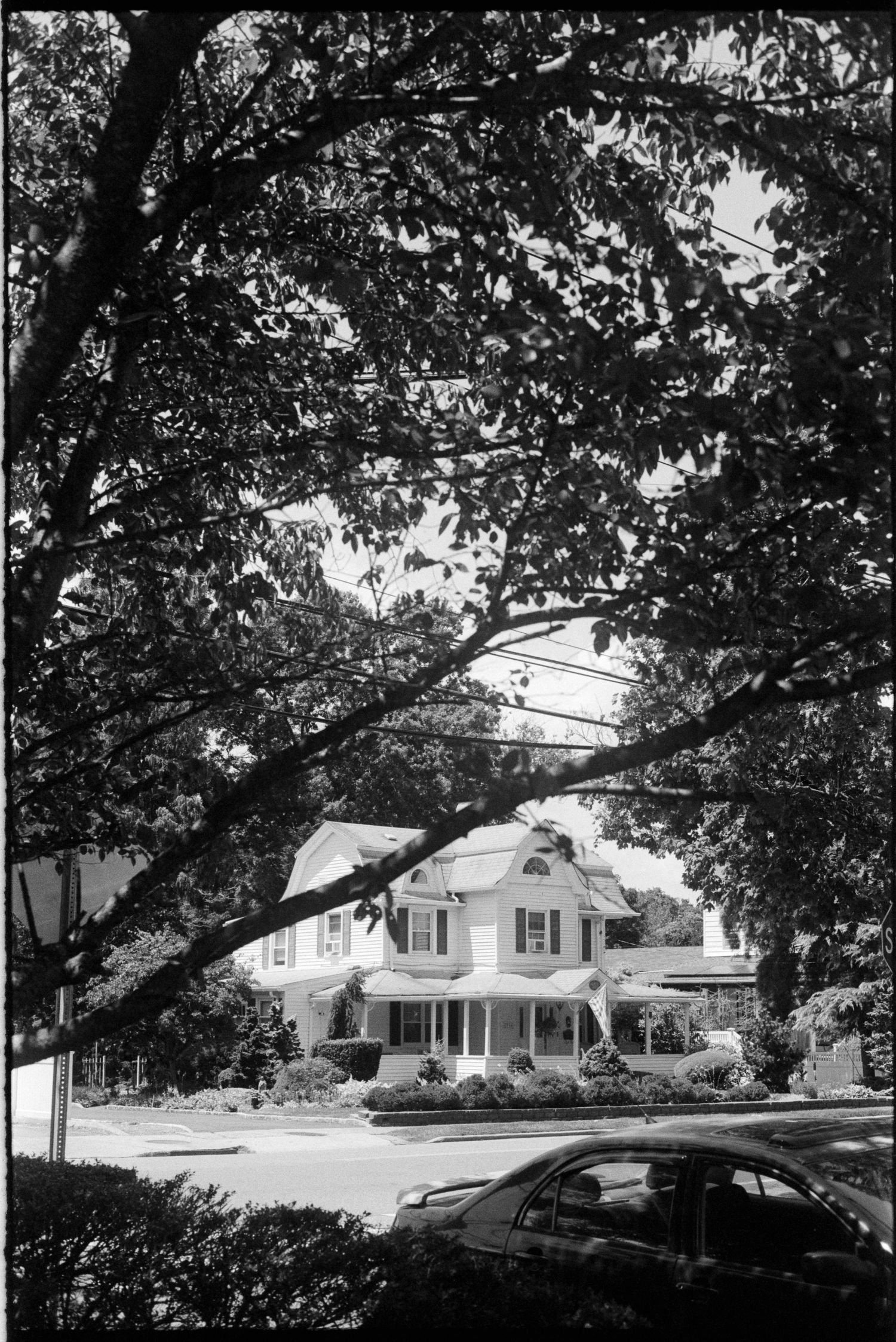 Panoramic black and white view of suburban houses with mature trees lining a residential street.