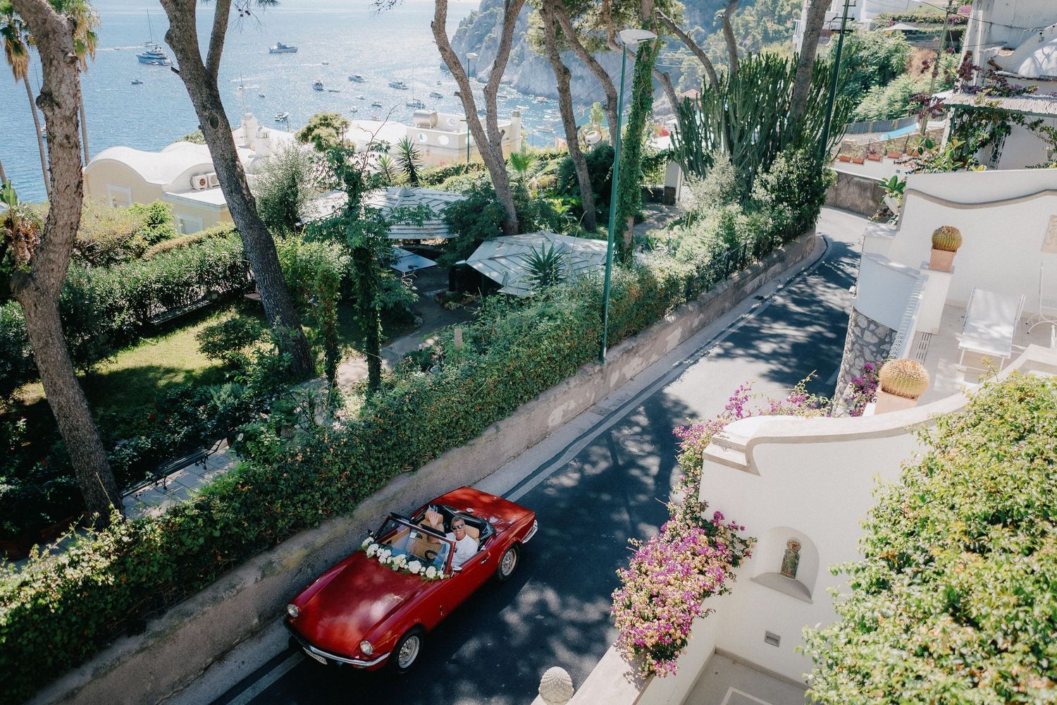 A red vintage convertible car drives along a coastal road lined with palm trees and flowering gardens overlooking the sea.