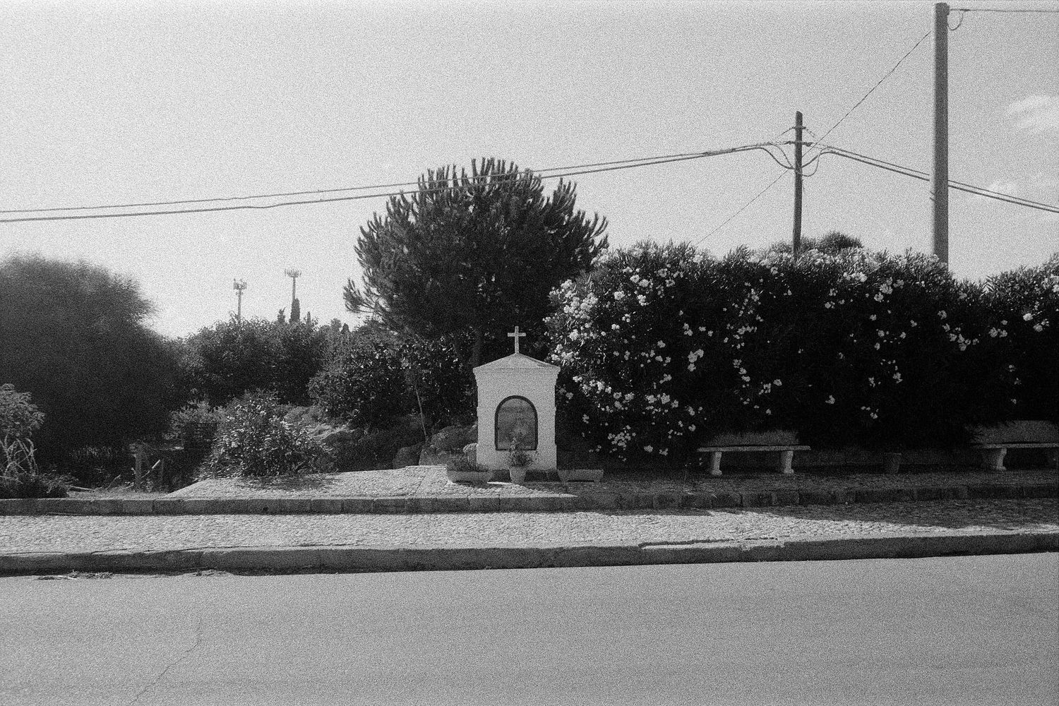 A small white roadside shrine surrounded by hedges and utility poles along an empty street in black and white.