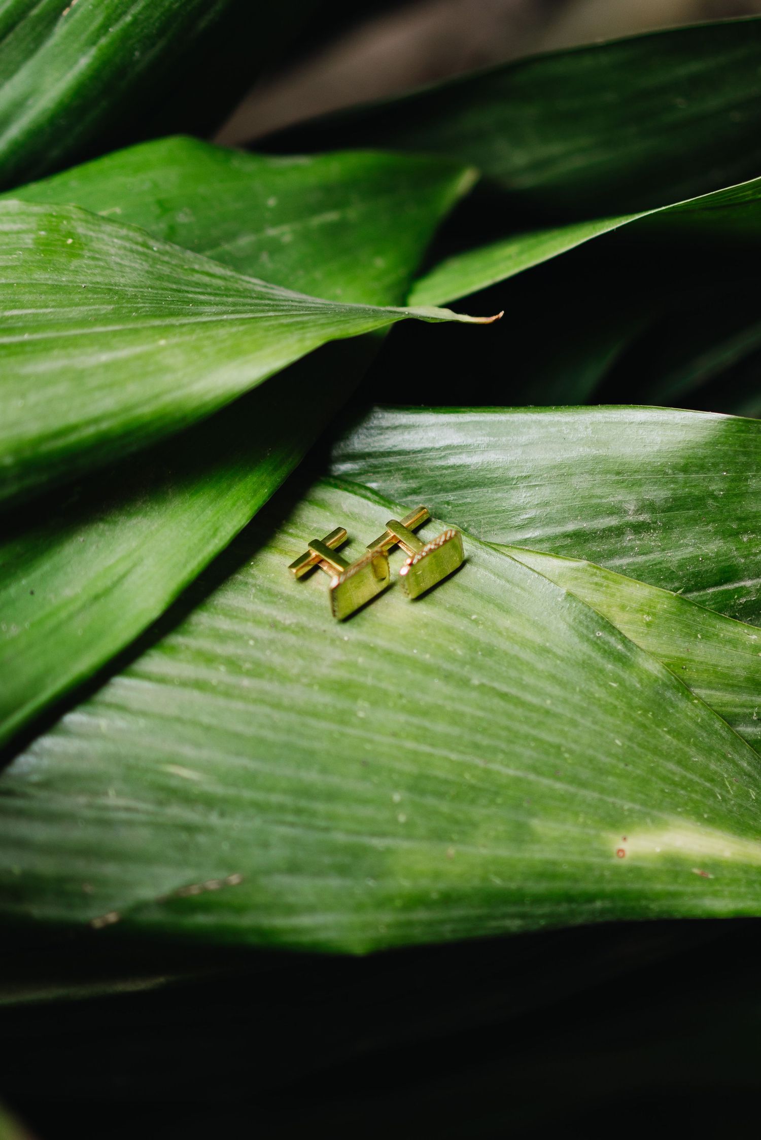 Three tiny yellow caterpillars rest on a vibrant green leaf blade in a macro nature photography shot.
